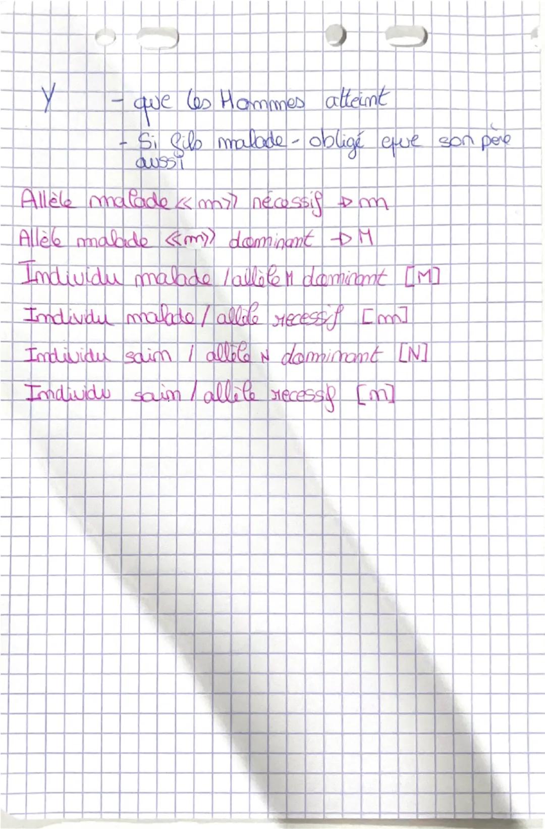 Henedite Rumaire
geme: séquence d'ADN permettant la synthèse dione P
gemame: ensemble des gèmes porté par qlq (11)
allele version d' im geme