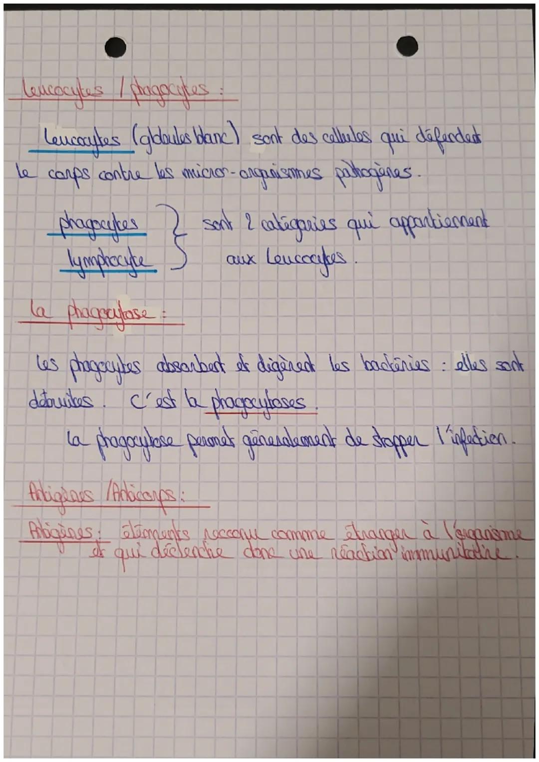 # Leucocytes/plugacytes

Leucocytes (globules blanc) sont des cellules qui déferdest
le corps contre les micron-arganismes pulthagènes.

}
l