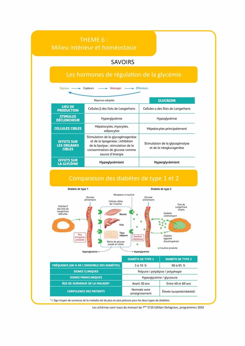 THEME 6:
Milieu intérieur et homéostasie
VOCABULAIRE
Vocabulaire
Définition
Milieu intérieur
1
Lymphe canalisée 2
Milieu
3
Sens strict milie