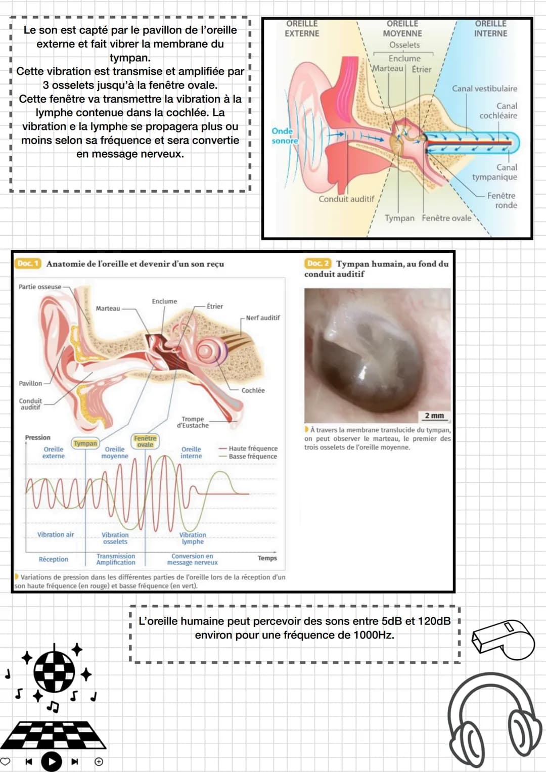●
Enseignement
scientifique
Thème 4: Son et musique porteurs
d'informations
Chapitre 1 entendre la musique
K
I
I
sonore.
Fréquence et périod