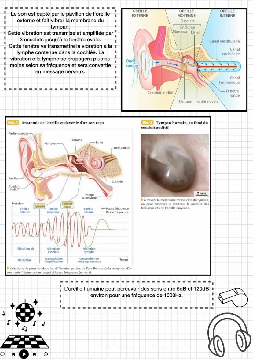●
Enseignement
scientifique
Thème 4: Son et musique porteurs
d'informations
Chapitre 1 entendre la musique
K
I
I
sonore.
Fréquence et périod