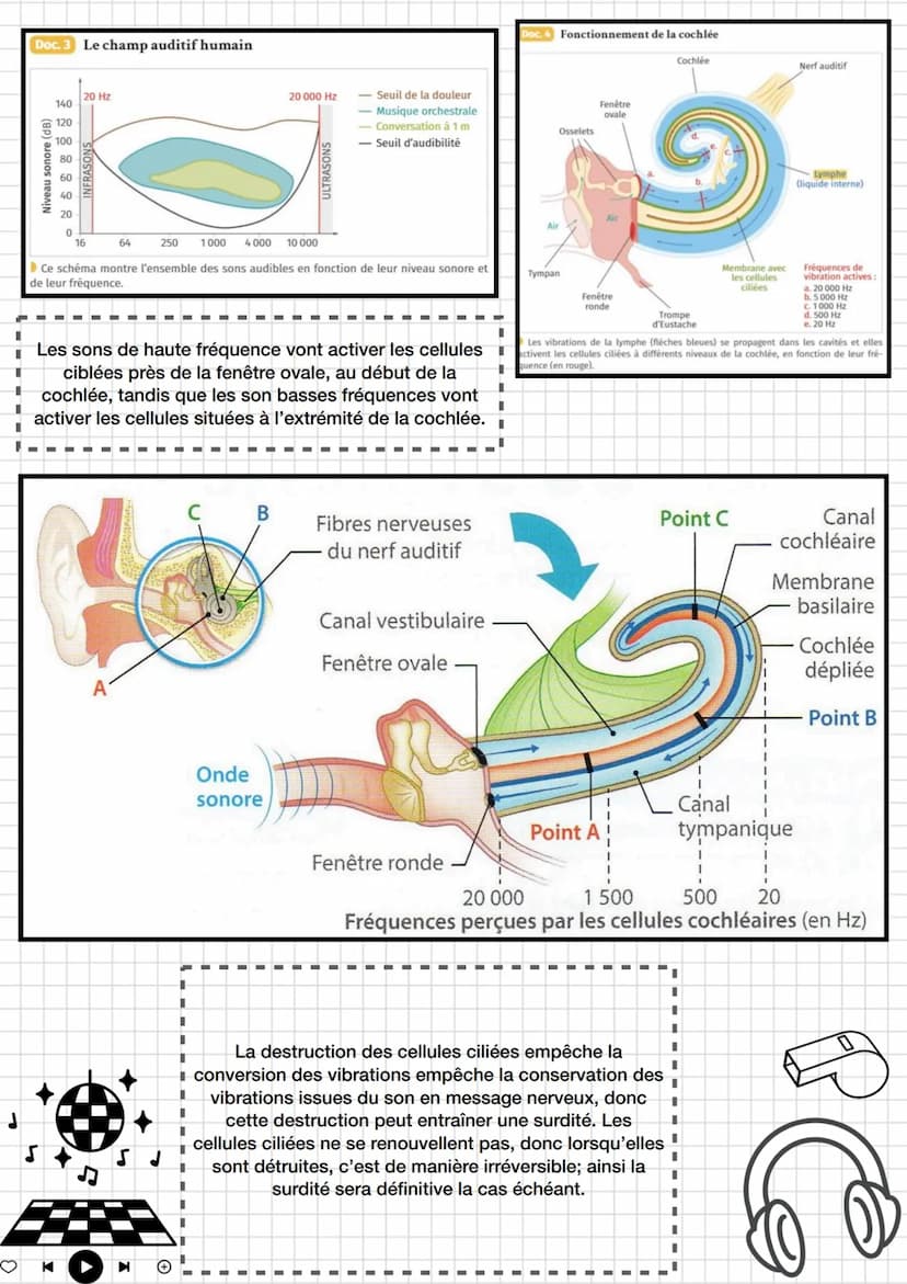 ●
Enseignement
scientifique
Thème 4: Son et musique porteurs
d'informations
Chapitre 1 entendre la musique
K
I
I
sonore.
Fréquence et périod