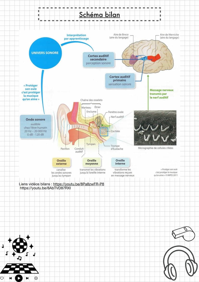 ●
Enseignement
scientifique
Thème 4: Son et musique porteurs
d'informations
Chapitre 1 entendre la musique
K
I
I
sonore.
Fréquence et périod