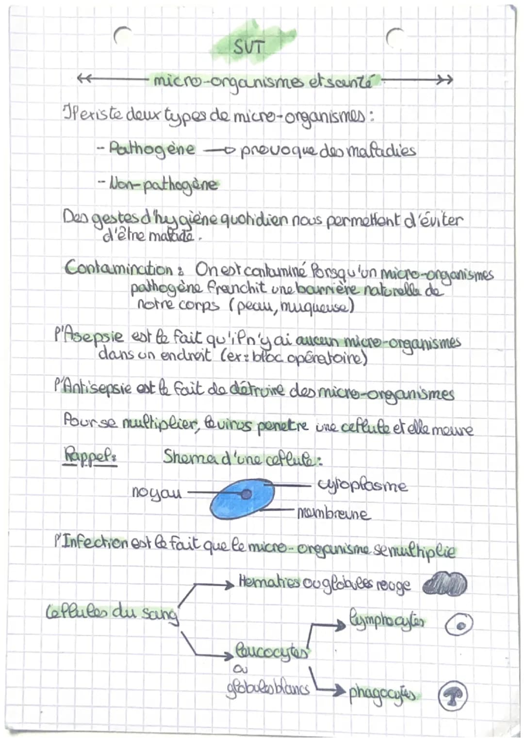 SUT
•micro-organismes etscenté
Pexiste deux types de micro-organismes:
•Pathogene provoque des maladies
-Non-pathogène
C
-
Den gestes d'hygi
