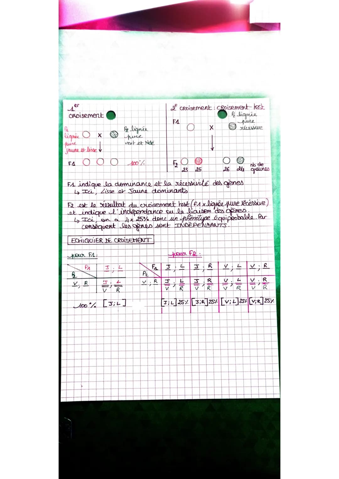 Croisement
PA
lignée X
pure
jaune et lisse
F4
pour F1:
O
Be lignée
pure
vert et ride
PA
3 ; 4
J
2,44
V
R
100% [J;L]
B
V, R
100%
F₂
Es indiqu