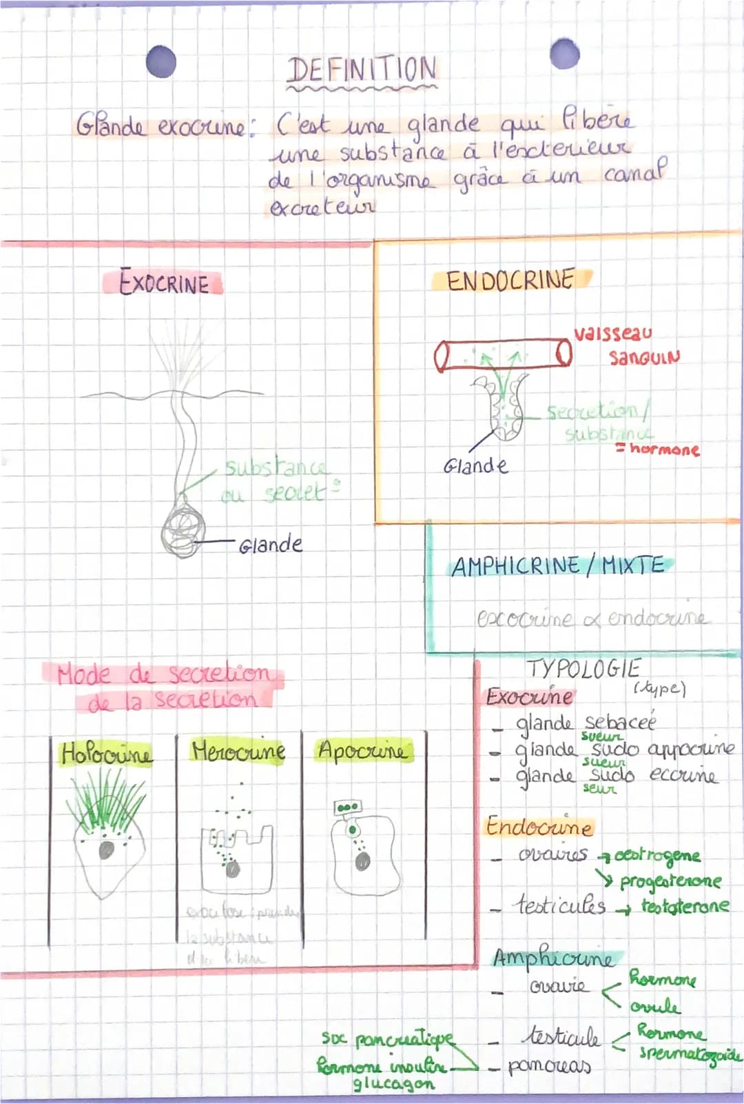 DEFINITION
Glande exocrine: C'est une glande que
EXOCRINE
libere
une substance à l'exterieur
de l'organisme grâce à un canal
excreteur
subst