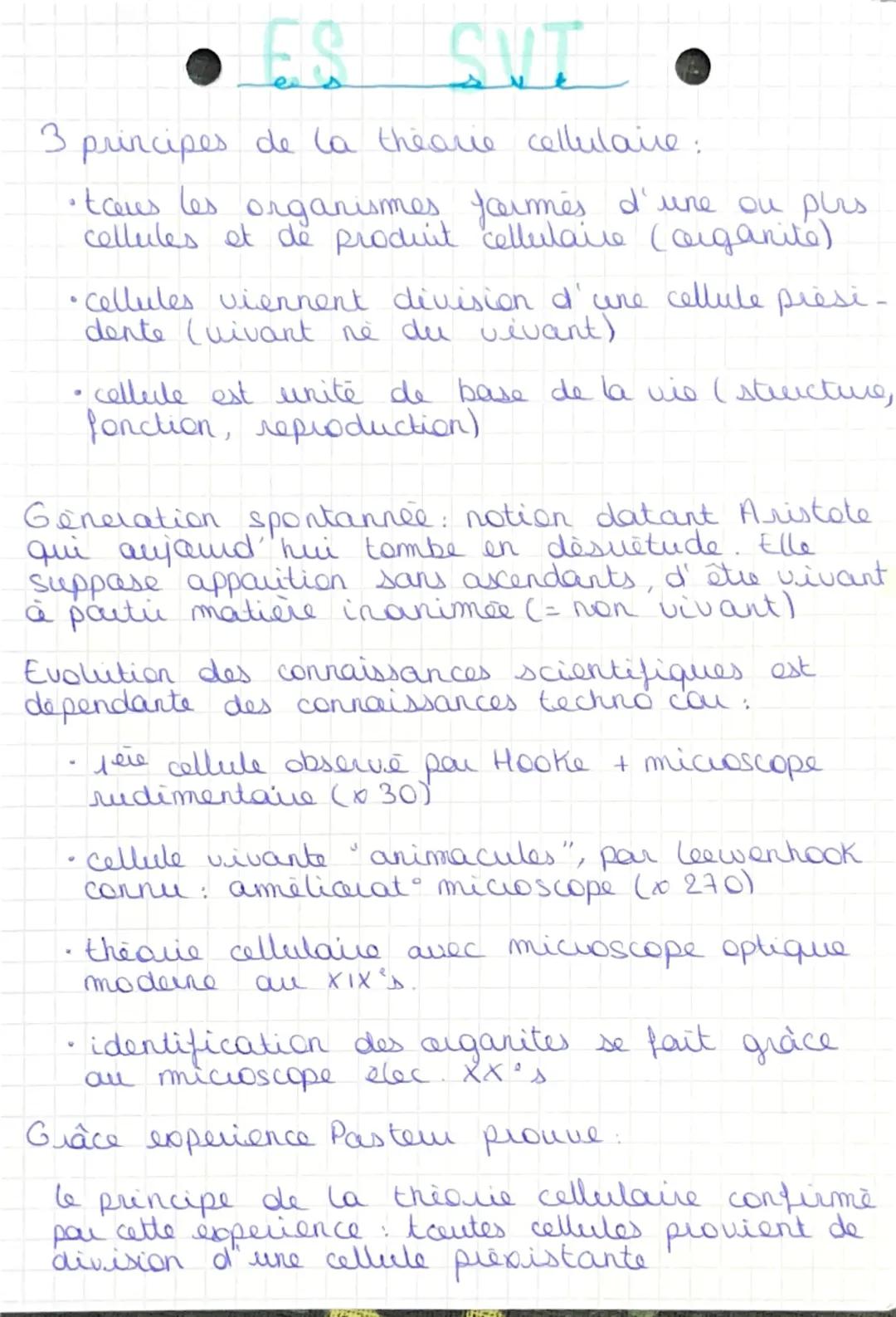 ### ES SVT

nm - 10 nm - 100 nm - $\mu$m - 10 $\mu$m - 100 $\mu$m - mm - cm-
dcm - m - dam - km - hm

- ADN - proteine - chloroplaste - cell