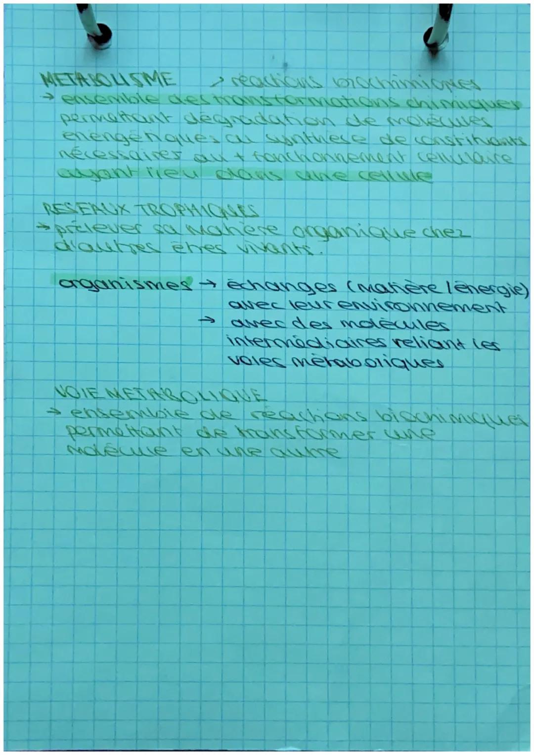 # métabolisme

fonctionnement cellulaie

→ nécessite de l'énergie

/

nétéro mophes

développement

avec du gliuole,

de la matière organiqu