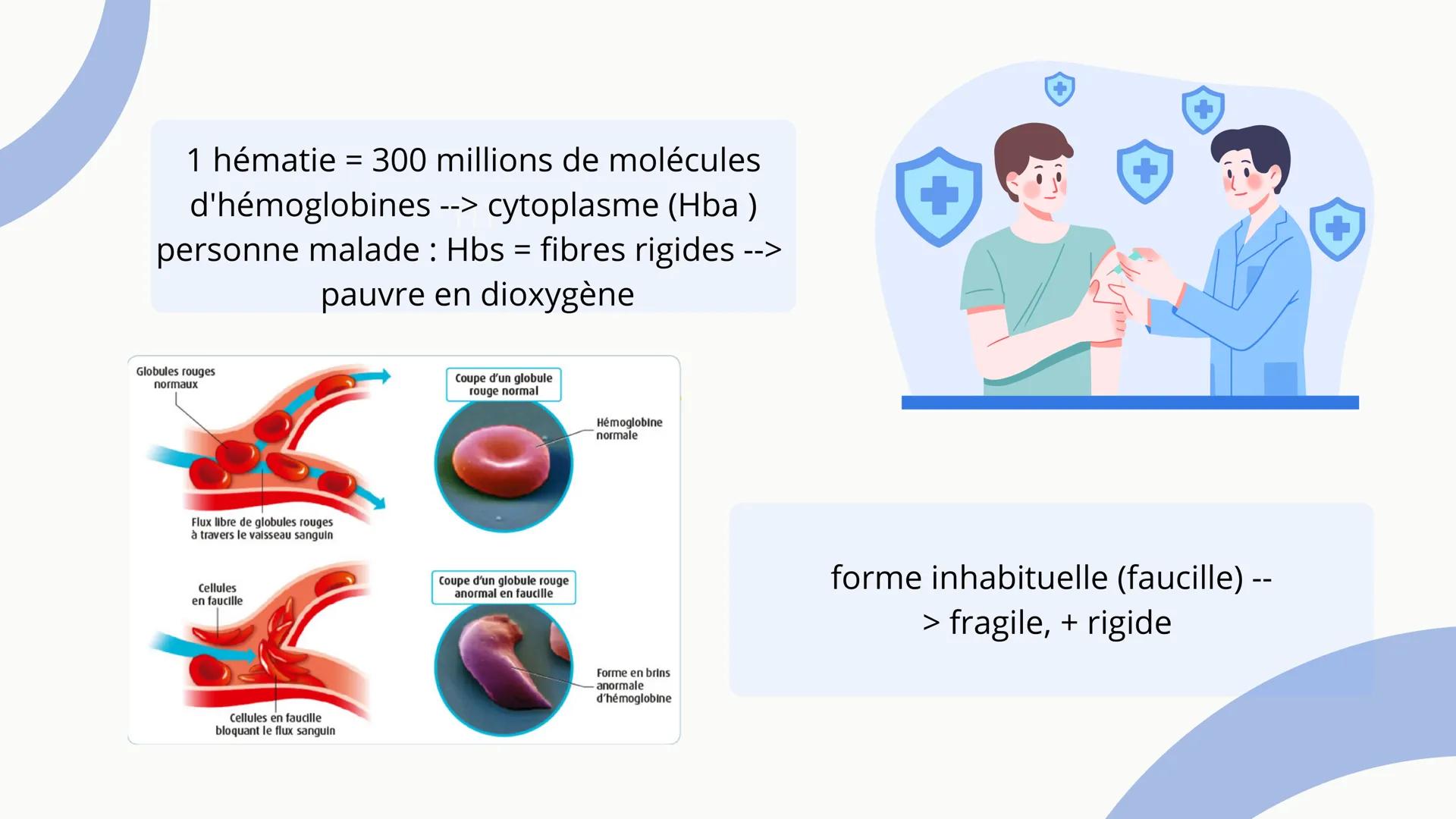 +
LA DRÉPANOCYTOSE
ET
LES BETA-
THALASSÉMIES
By Romane
and Lydie
Joo SOMMAIRE :
123
l'hémoglobine
Drépanocytose
Béta-
Thalassémies
4 5
Risqu