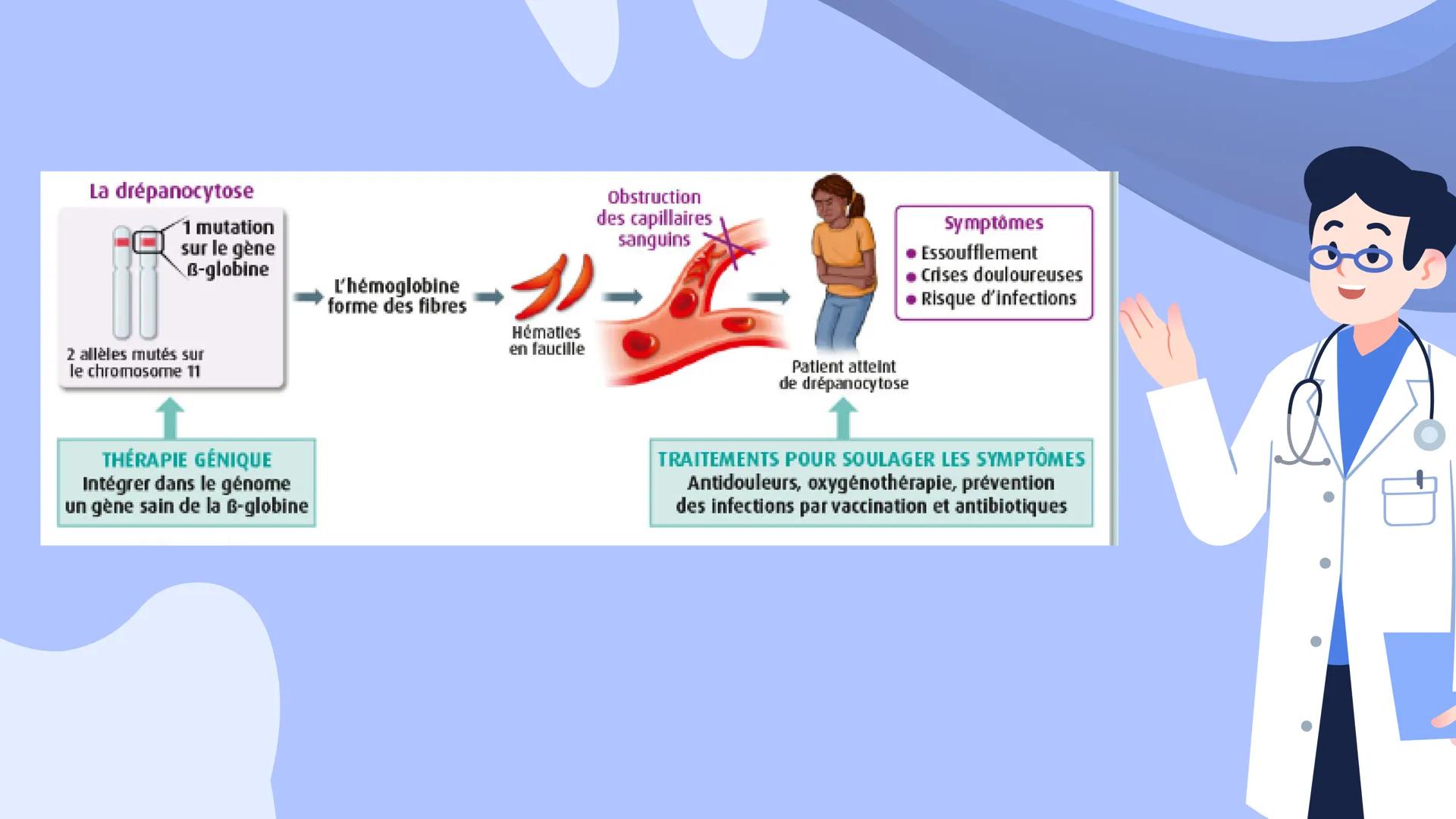 +
LA DRÉPANOCYTOSE
ET
LES BETA-
THALASSÉMIES
By Romane
and Lydie
Joo SOMMAIRE :
123
l'hémoglobine
Drépanocytose
Béta-
Thalassémies
4 5
Risqu