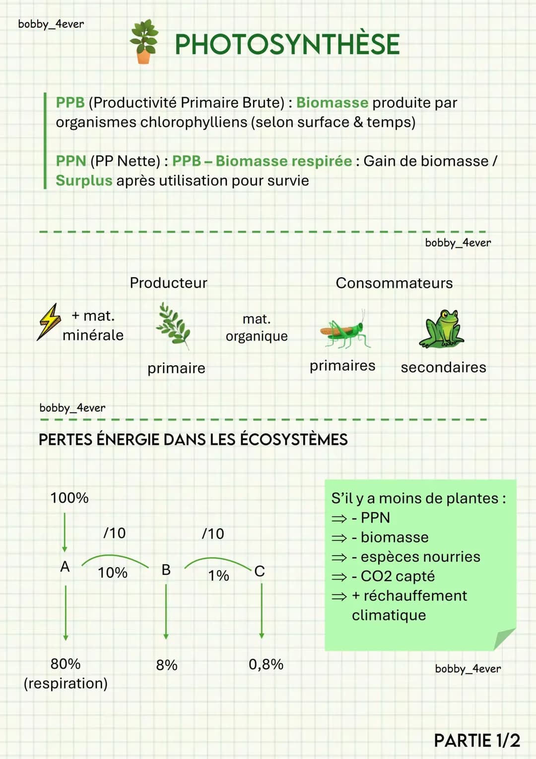 La photosynthèse