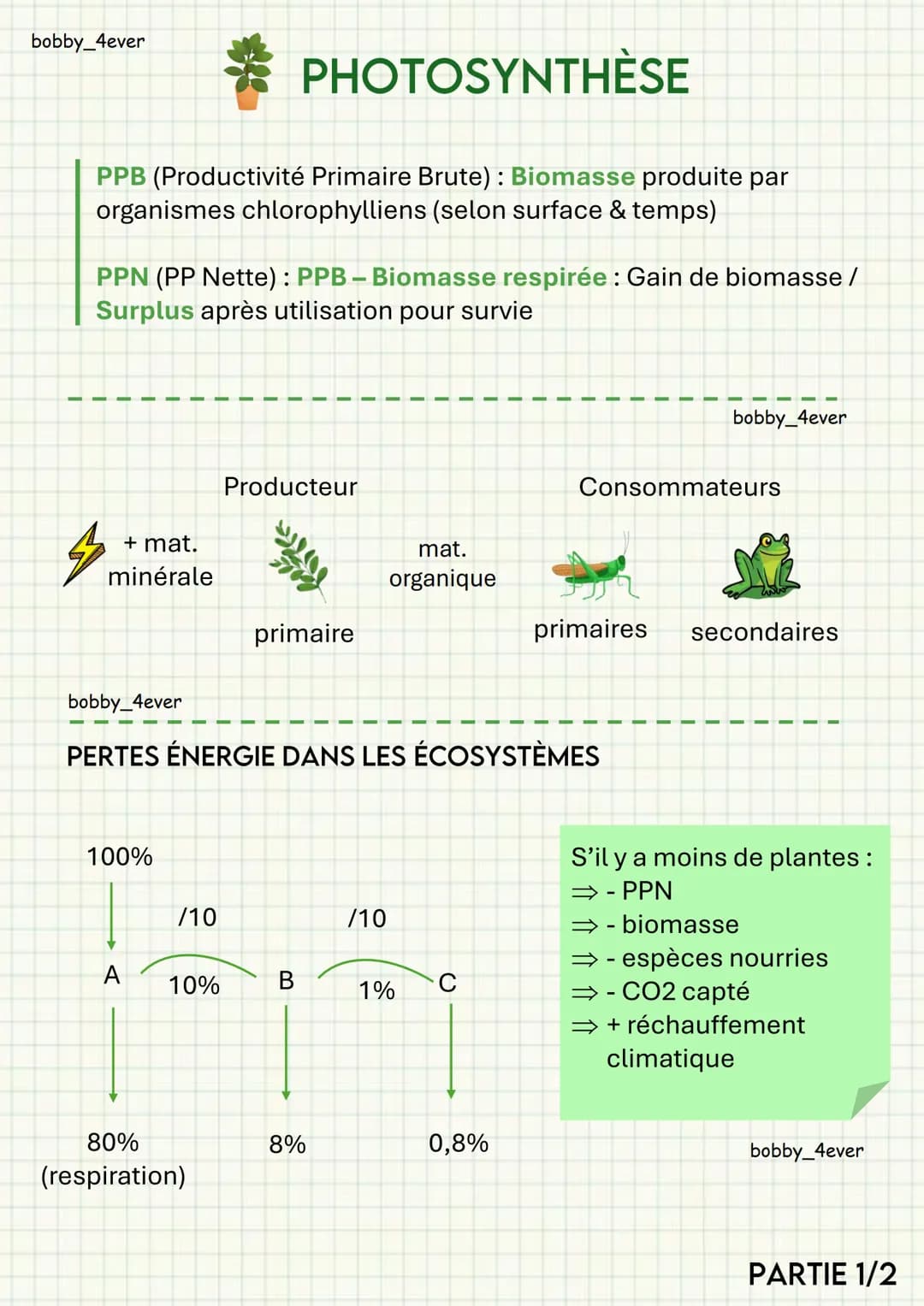 bobby_4ever
PHOTOSYNTHÈSE
PPB (Productivité Primaire Brute): Biomasse produite par
organismes chlorophylliens (selon surface & temps)
PPN (P