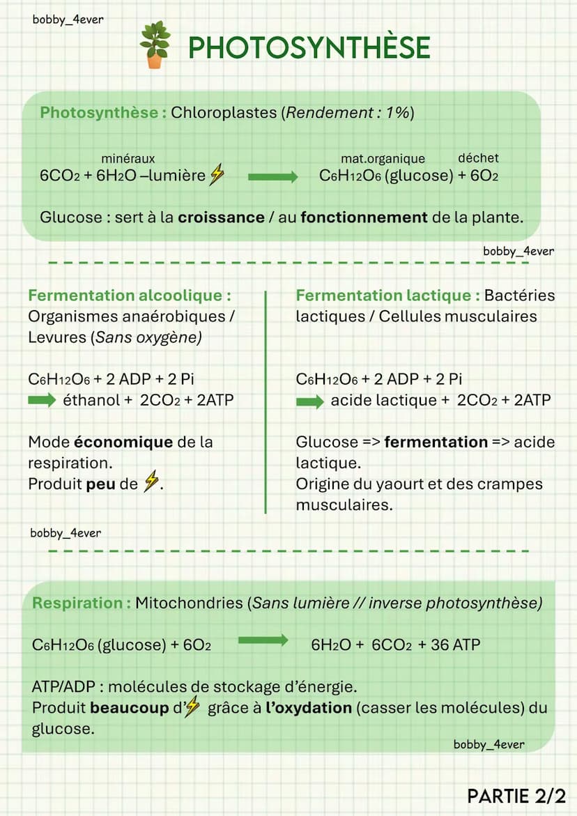 bobby_4ever
PHOTOSYNTHÈSE
PPB (Productivité Primaire Brute): Biomasse produite par
organismes chlorophylliens (selon surface & temps)
PPN (P