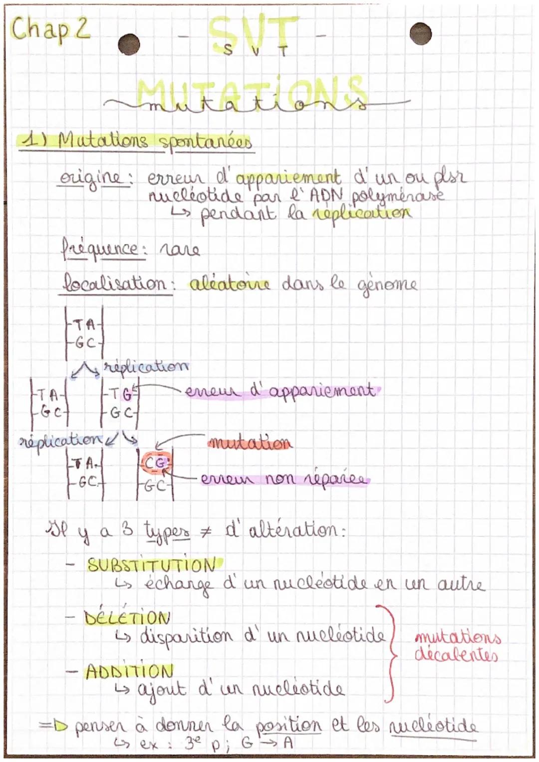 Mutations et leur Impact