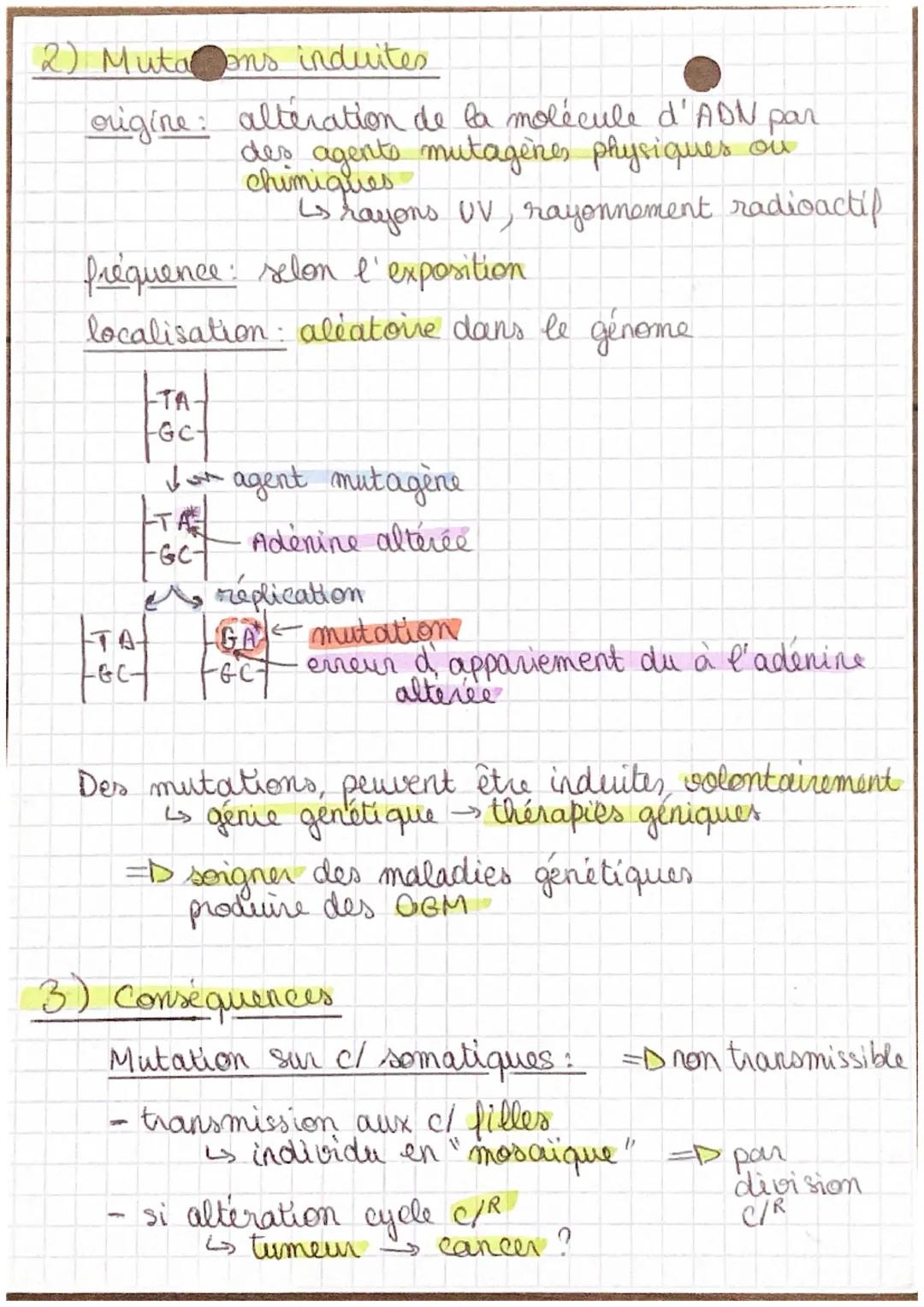 Chap 2

SVT

mutations

1) Mutations spontanées

origine: erreur d'appariement d'un ou plsr
 nucleotide par l'ADN polymérase
 Ls pendant la 