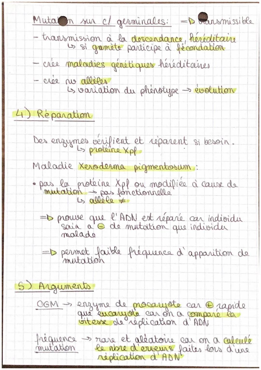 Chap 2

SVT

mutations

1) Mutations spontanées

origine: erreur d'appariement d'un ou plsr
 nucleotide par l'ADN polymérase
 Ls pendant la 