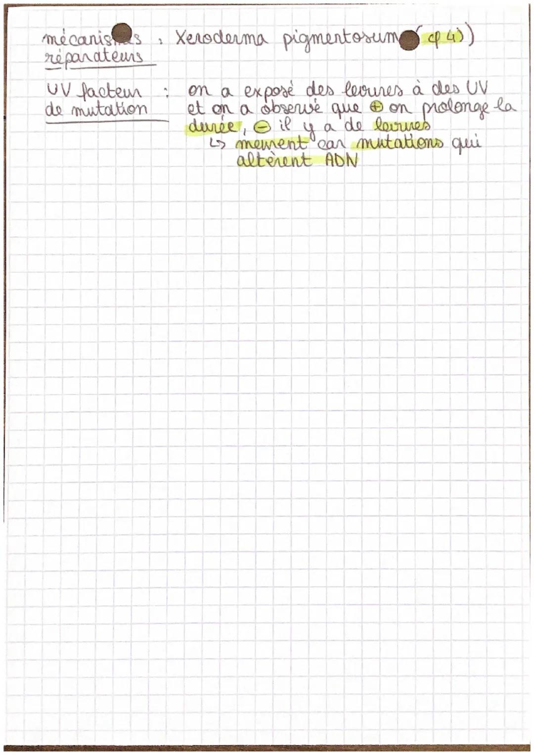 Chap 2

SVT

mutations

1) Mutations spontanées

origine: erreur d'appariement d'un ou plsr
 nucleotide par l'ADN polymérase
 Ls pendant la 