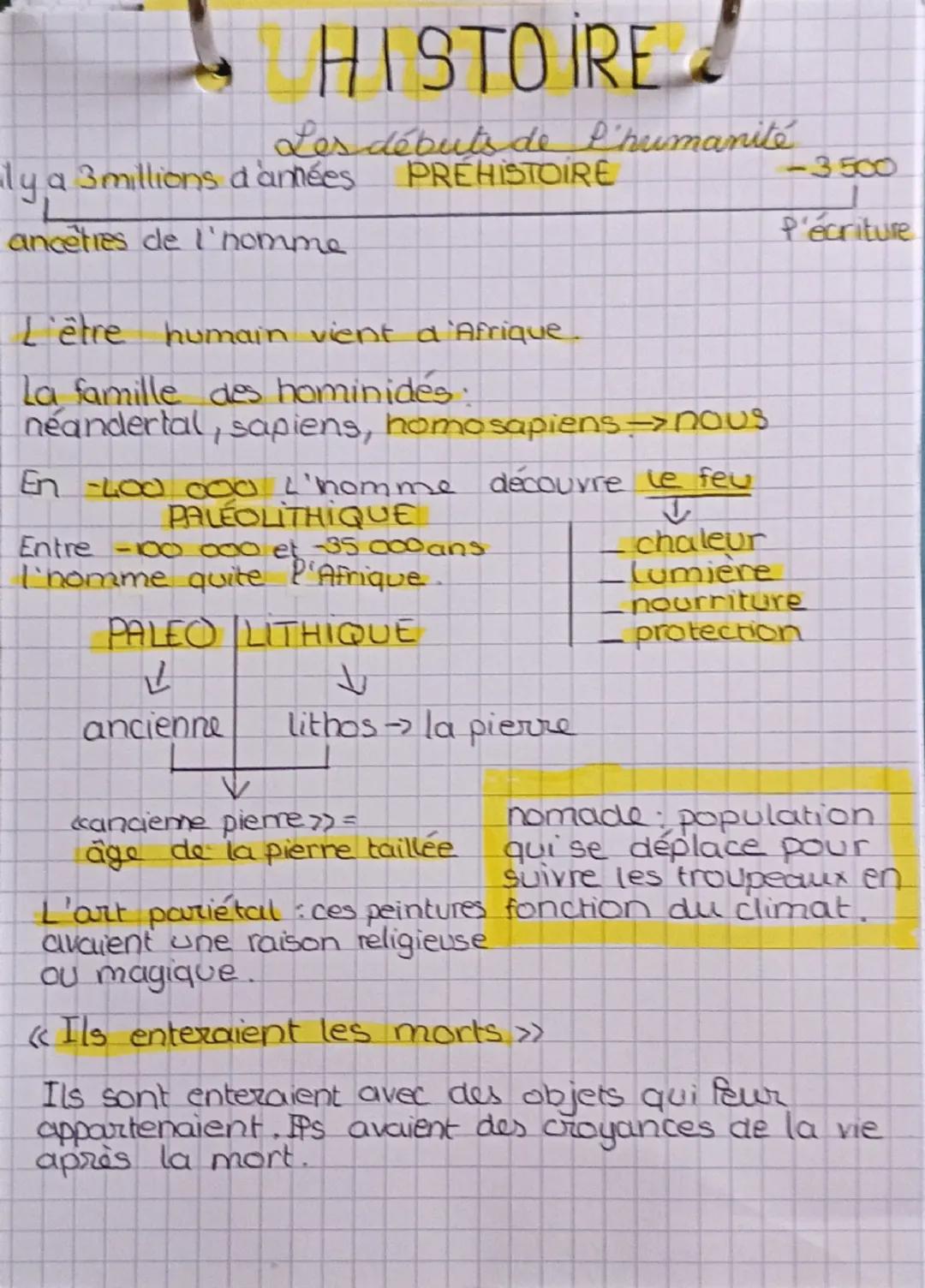 Les Premiers Pas de l'Humanité