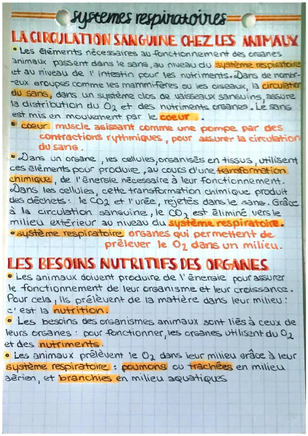 Les Systèmes de Transport et Nutrition chez les Animaux - SVT 5ème et 6ème