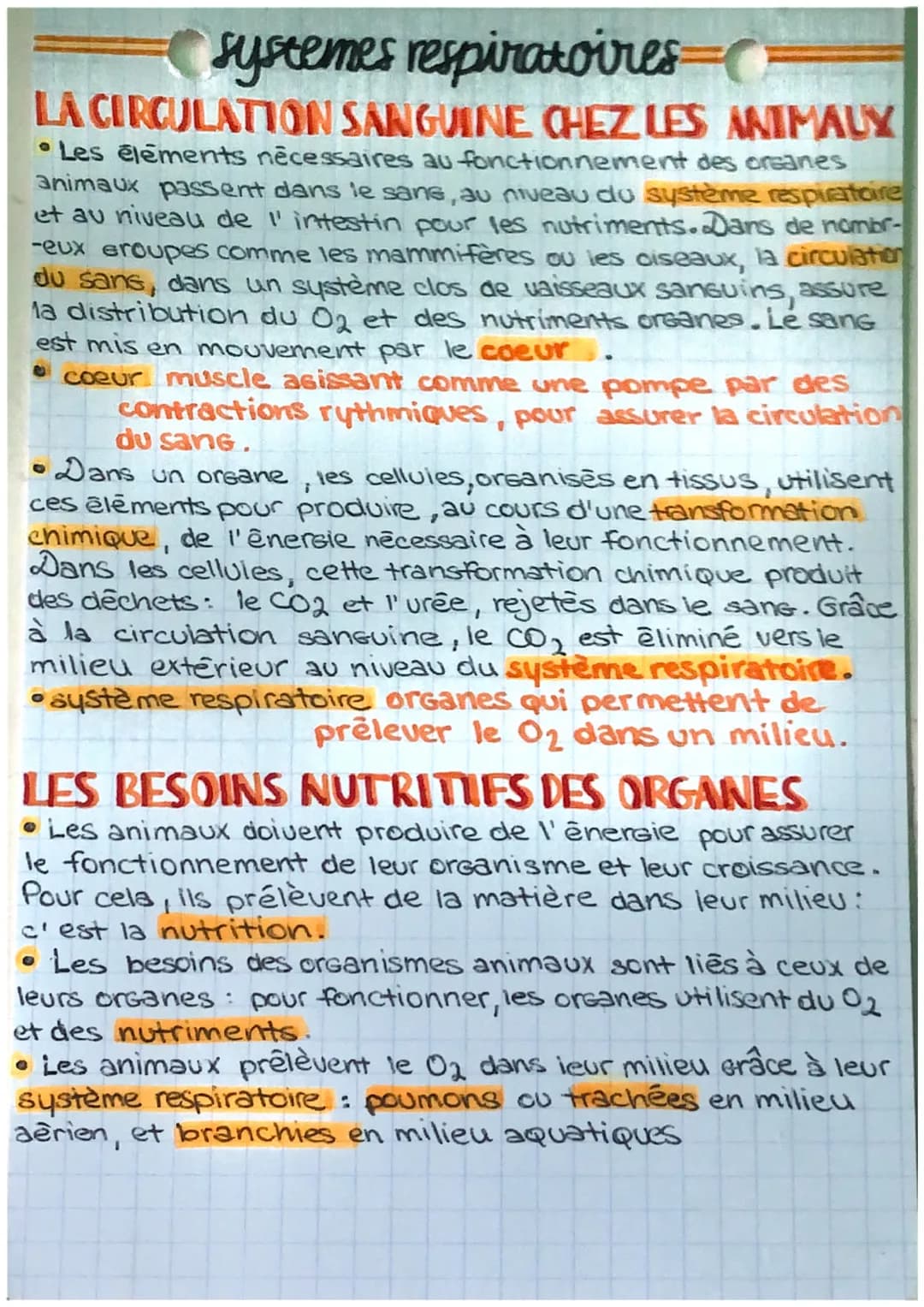 systemes respiratoires C
LA CIRCULATION SANGUINE CHEZ LES ANIMALY
Les éléments nécessaires au fonctionnement des organes
animaux passent dan