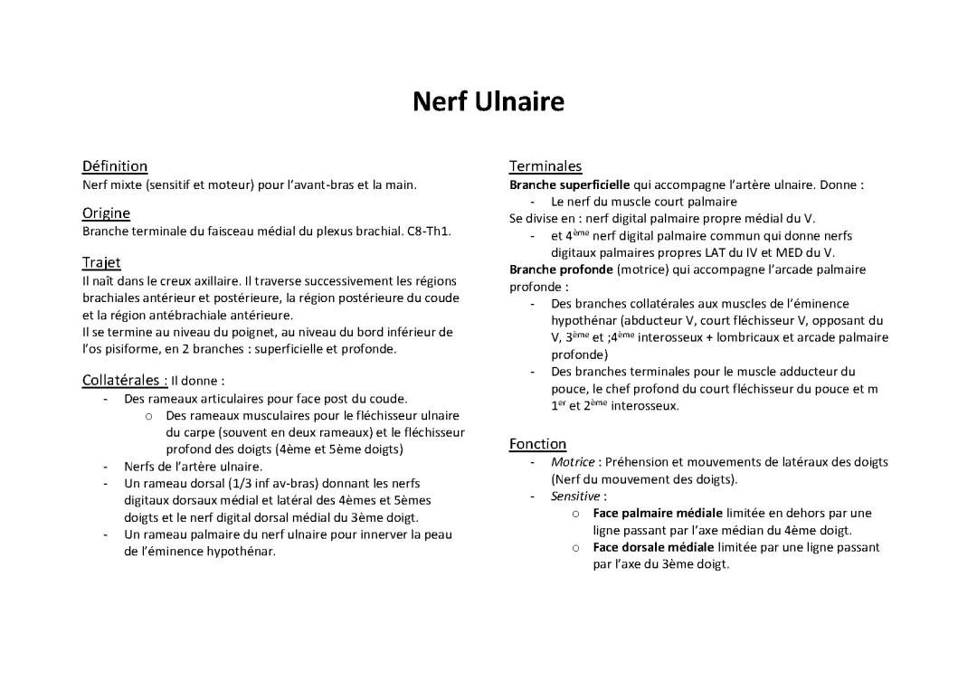 Nerf ulnaire