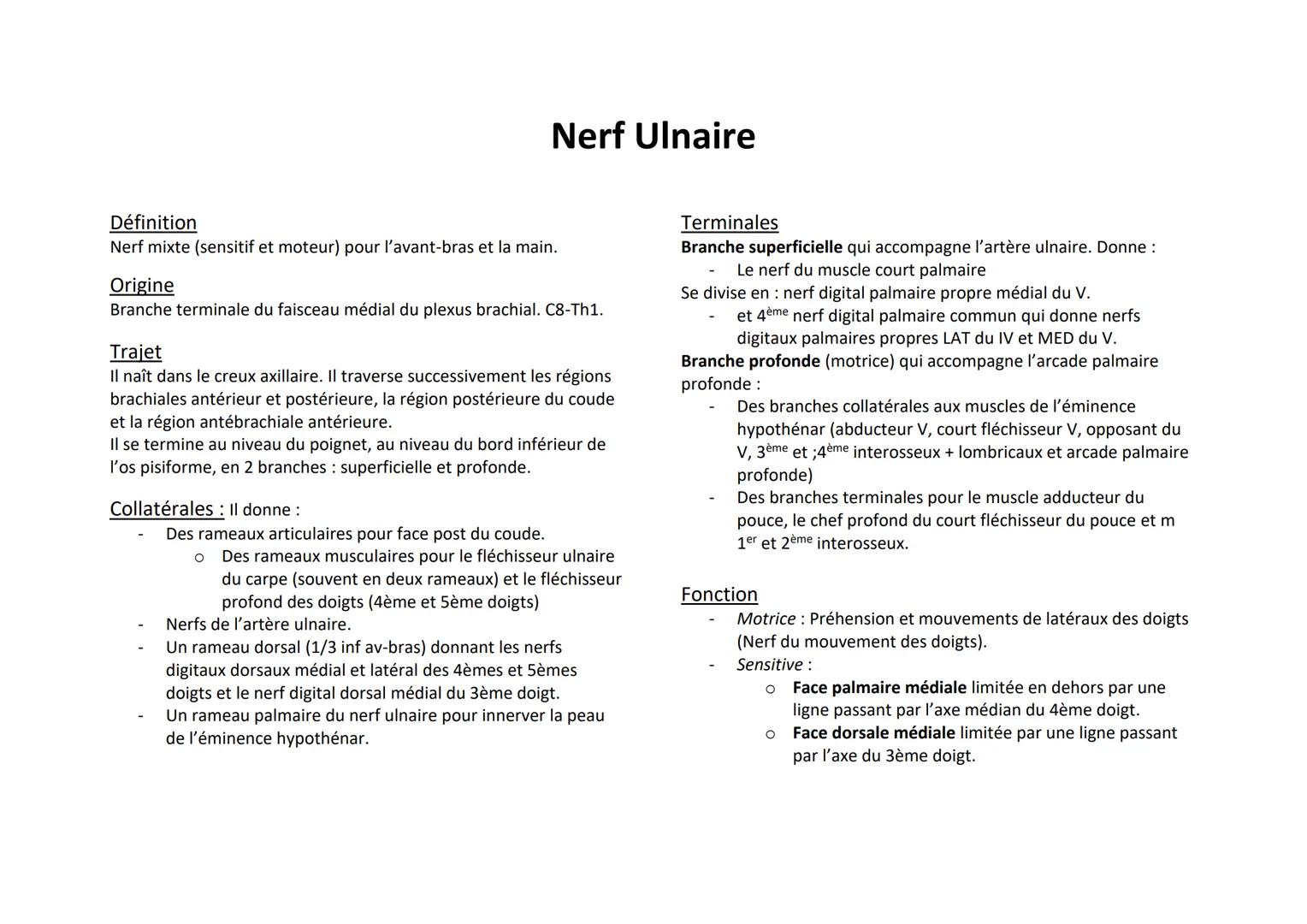 Nerf Ulnaire
Définition
Nerf mixte (sensitif et moteur) pour l'avant-bras et la main.
Origine
Branche terminale du faisceau médial du plexus