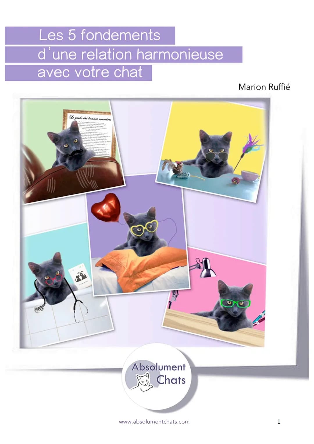 Les 5 fondements
d'une relation harmonieuse
avec votre chat
Le guide des bonnes manières
Absolument
Chats
www.absolumentchats.com
Marion Ruf