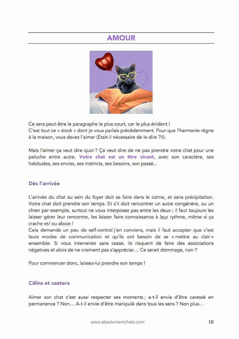 Les 5 fondements
d'une relation harmonieuse
avec votre chat
Le guide des bonnes manières
Absolument
Chats
www.absolumentchats.com
Marion Ruf