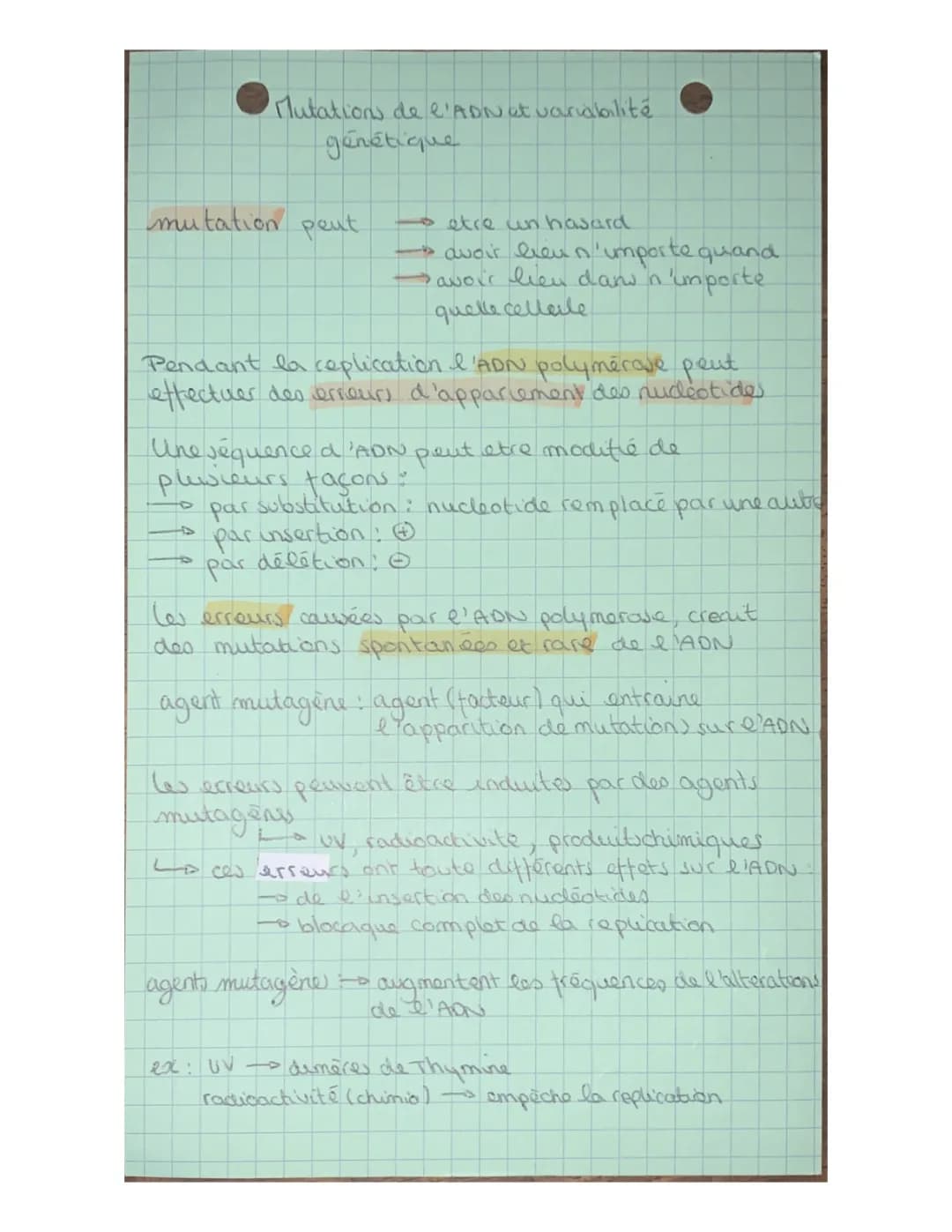 Mutation de l’ADN et variabilité génétique 