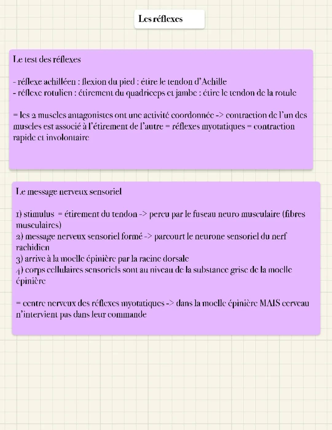 Les réflexes