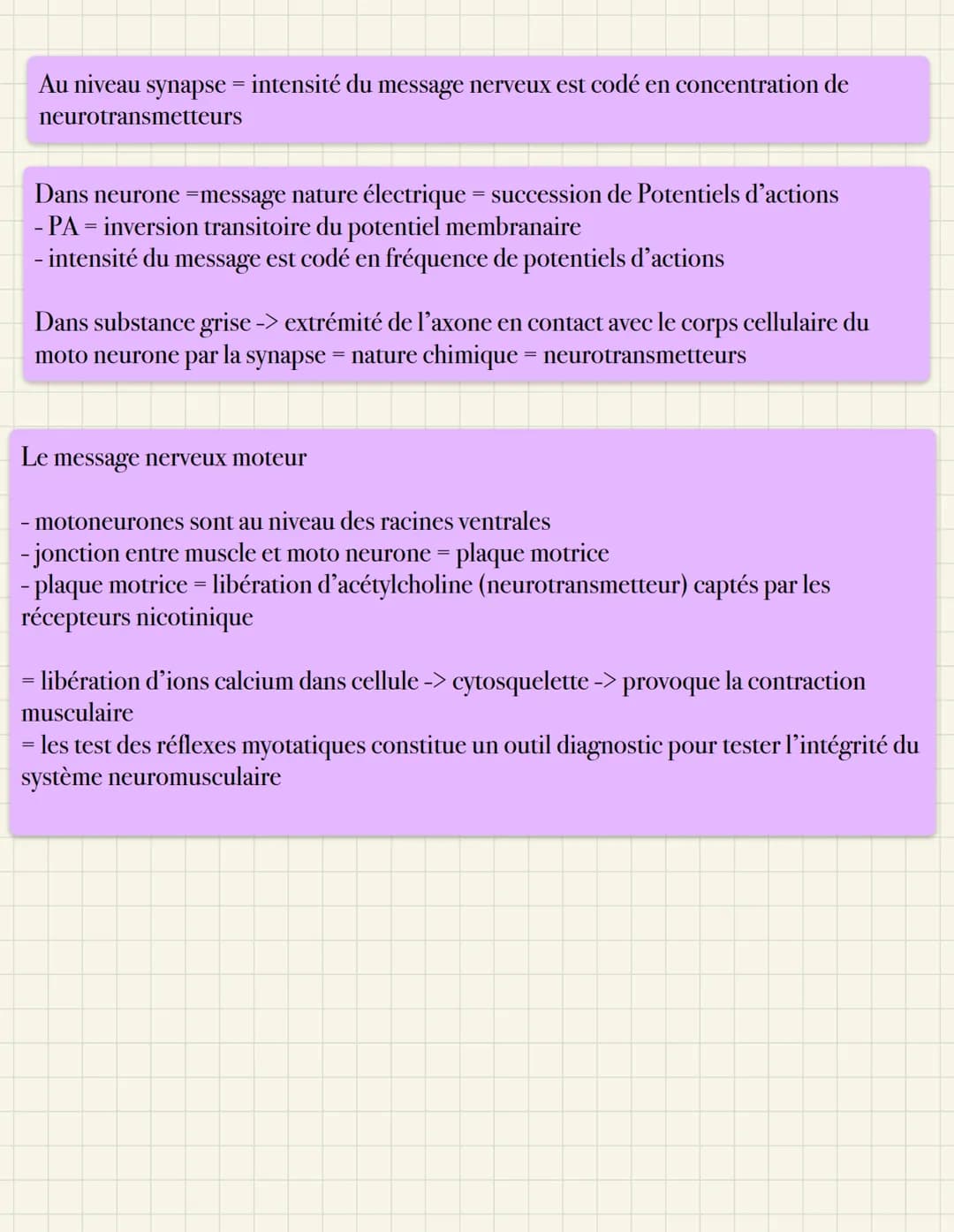 Le test des réflexes
Les réflexes
- réflexe achilléen: flexion du pied : étire le tendon d'Achille
- réflexe rotulien : étirement du quadric