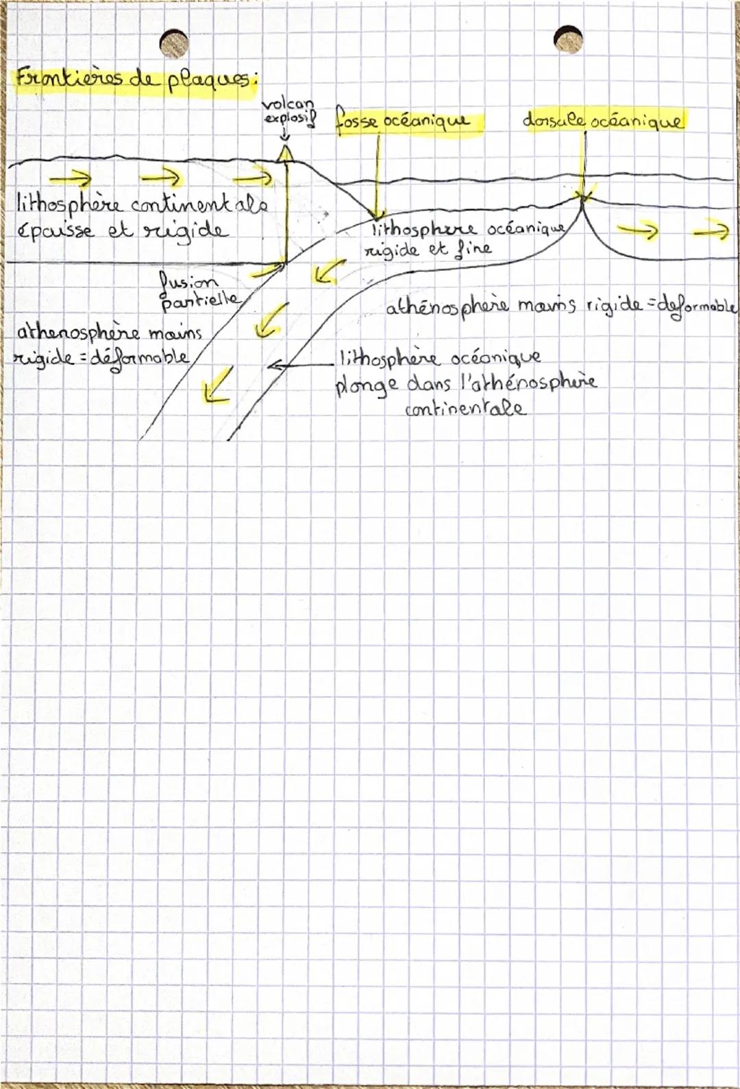 # LES PLAQUES TECTONIQUES

La théorie de la dérive des continents élaborée par A. Wegener il y a un siècle est corrigée en 1968 par la théor