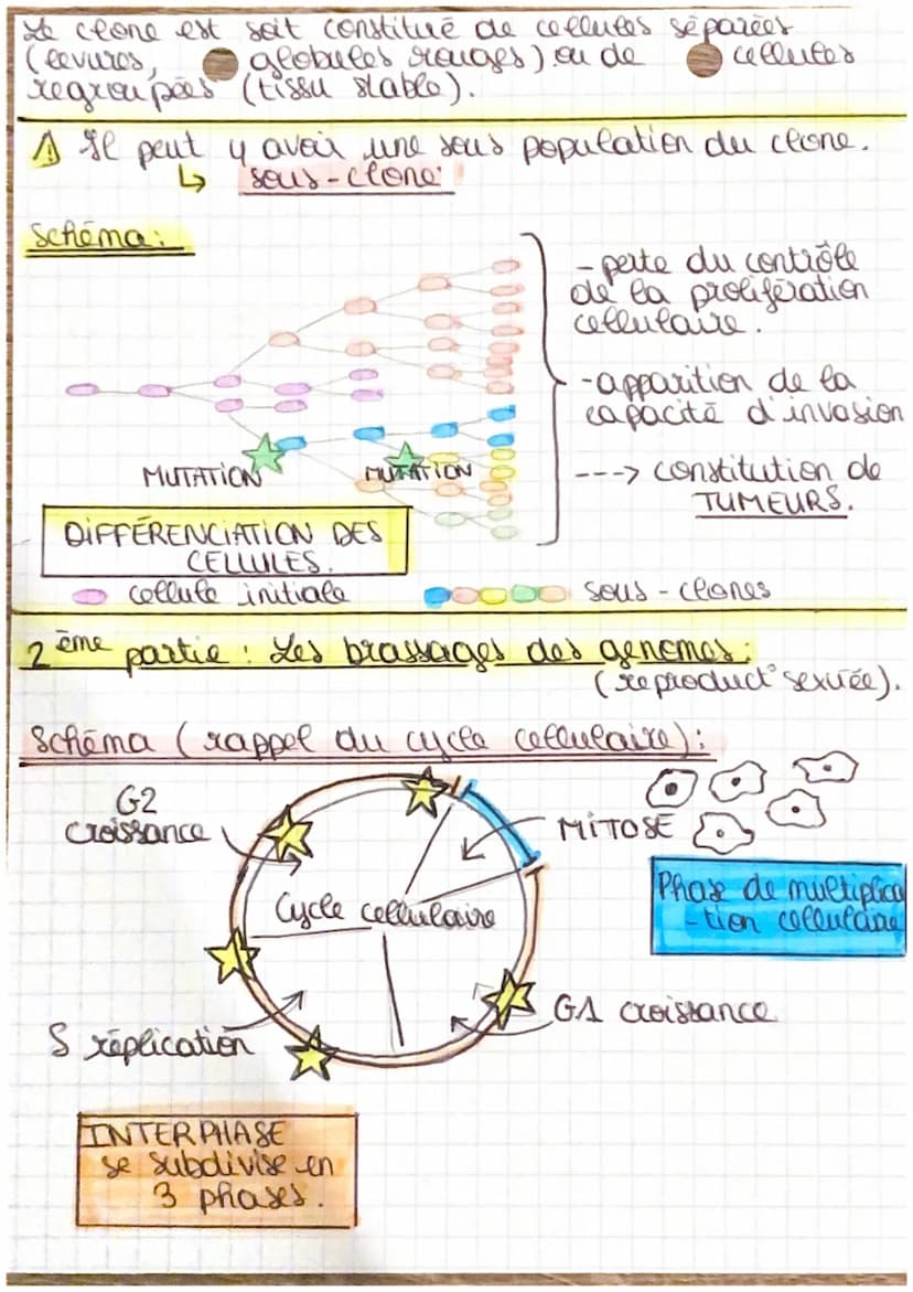 Pour
BAC
Spé SUT
L'origine du genotype des individus.
1 et partie :
x 2 types d'organisme:
2022-
2023
(see product a sexuée)
- unice Elulair