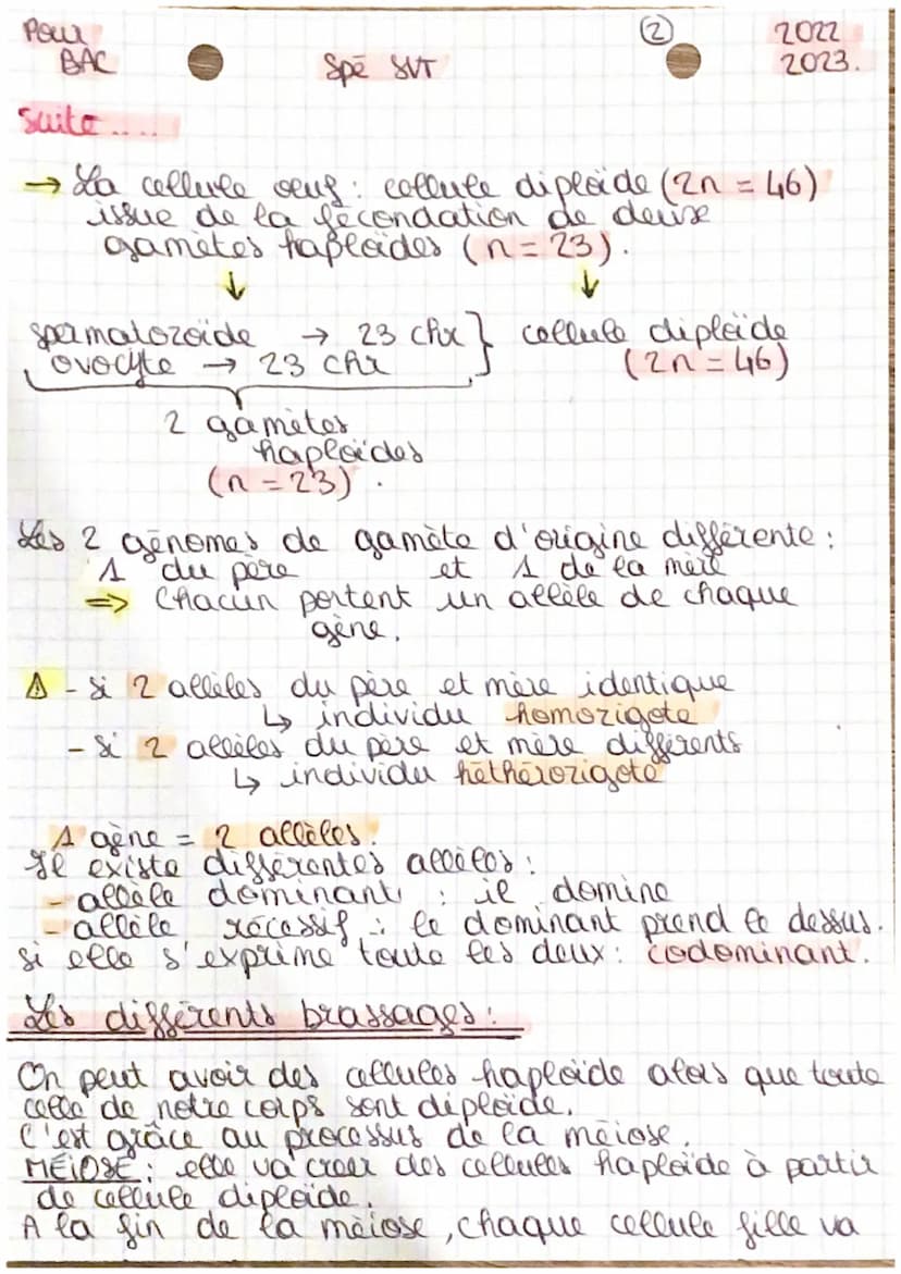 Pour
BAC
Spé SUT
L'origine du genotype des individus.
1 et partie :
x 2 types d'organisme:
2022-
2023
(see product a sexuée)
- unice Elulair