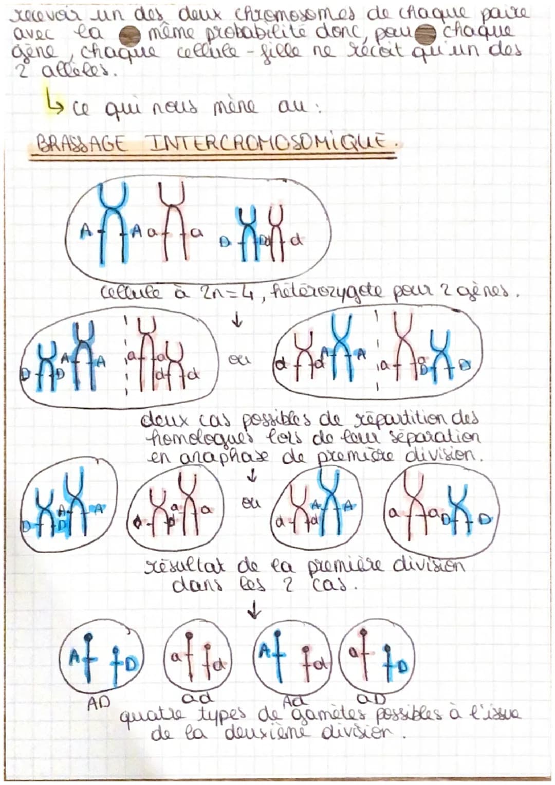 Pour
BAC
Spé SUT
L'origine du genotype des individus.
1 et partie :
x 2 types d'organisme:
2022-
2023
(see product a sexuée)
- unice Elulair
