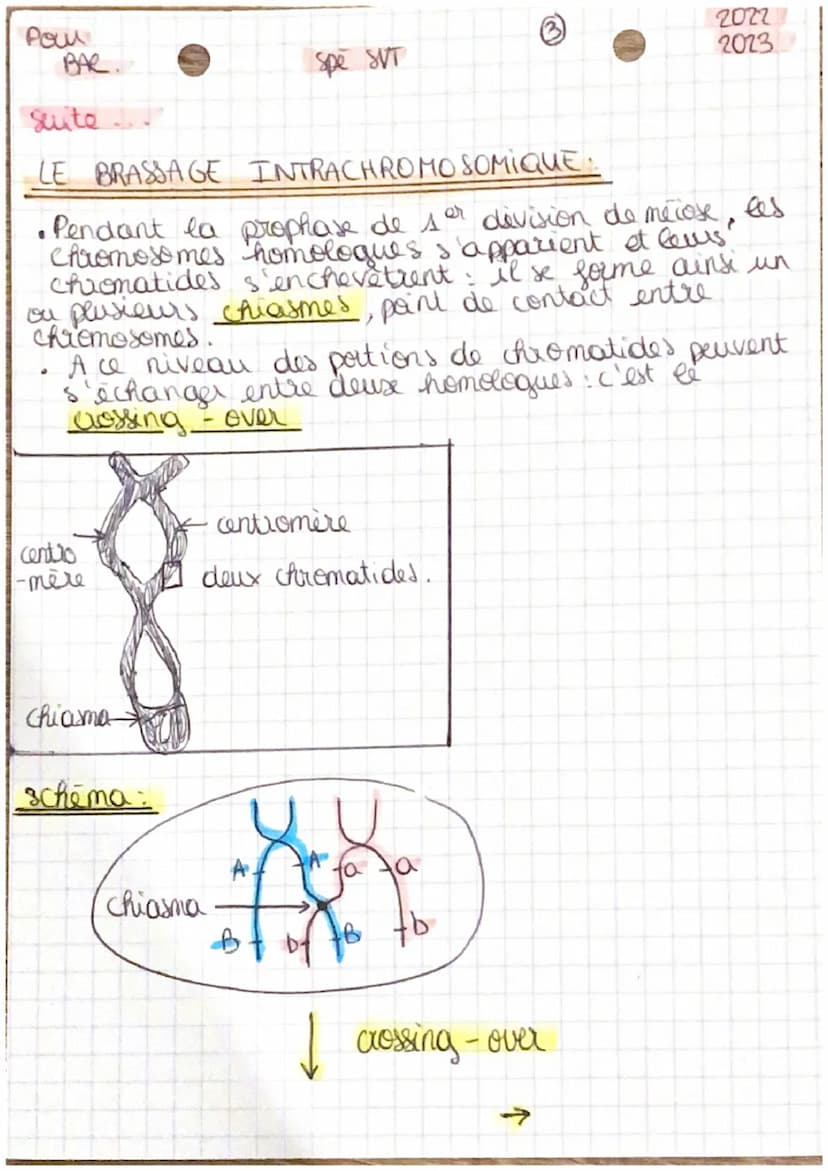 Pour
BAC
Spé SUT
L'origine du genotype des individus.
1 et partie :
x 2 types d'organisme:
2022-
2023
(see product a sexuée)
- unice Elulair