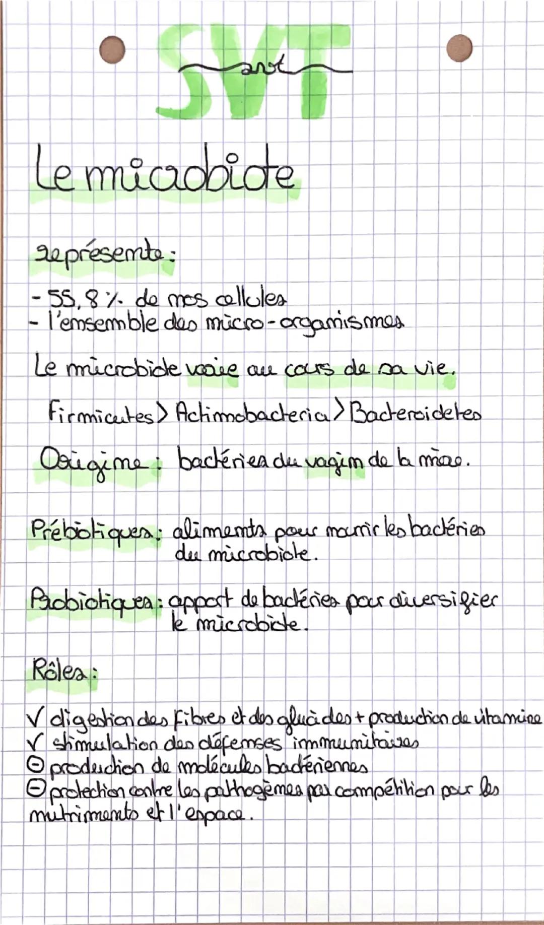 Le micabite
représente:
-55,8% de mos cellules
- l'emsemble des micro-organismes
Le microbide varie au cours de sa vie.
Firmicutes> Actimoba