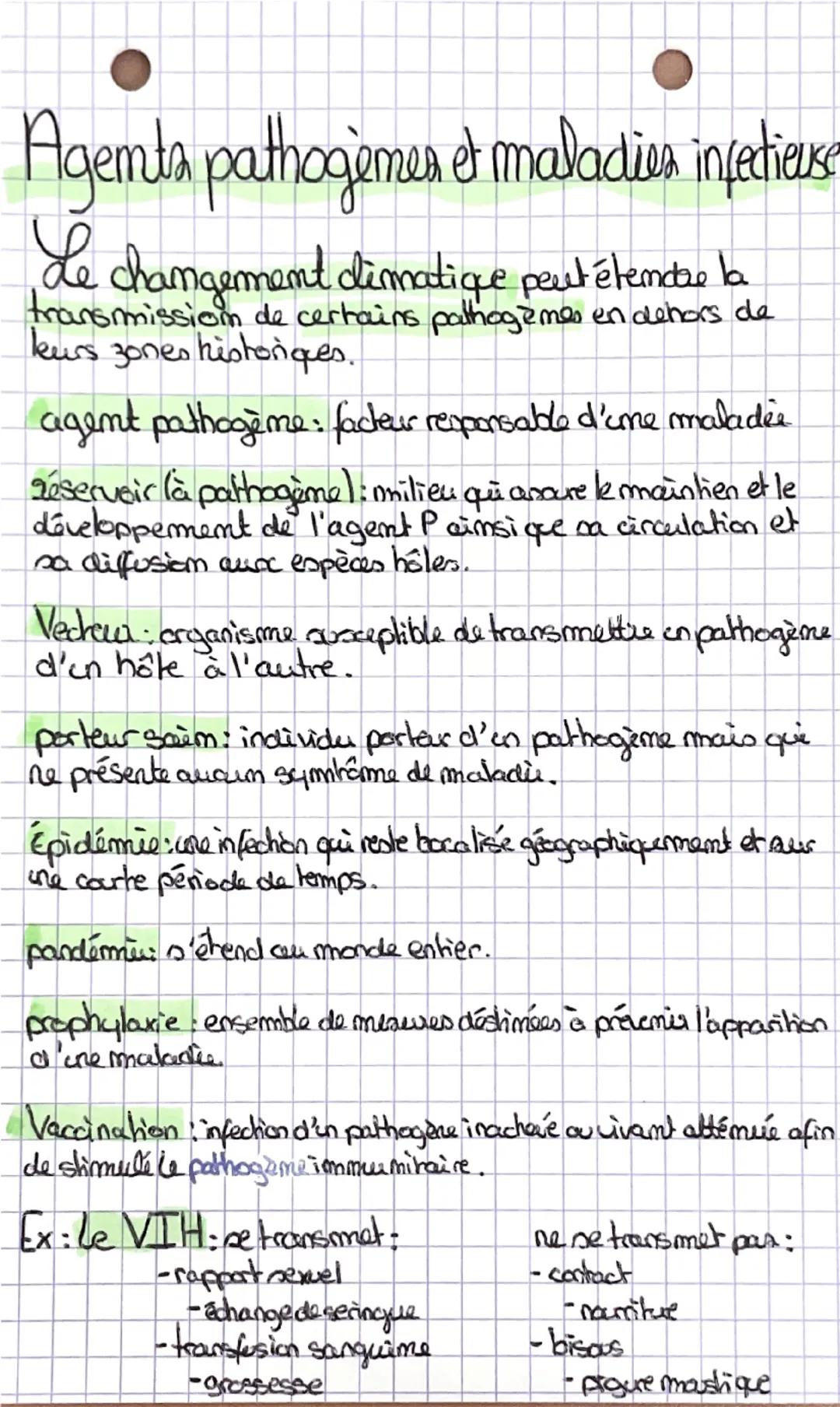 Le micabite
représente:
-55,8% de mos cellules
- l'emsemble des micro-organismes
Le microbide varie au cours de sa vie.
Firmicutes> Actimoba