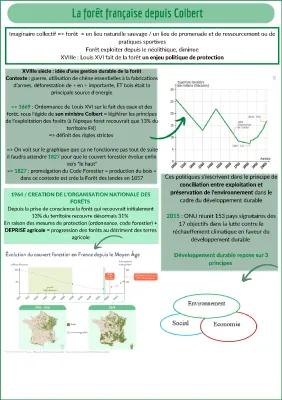 Know La forêt française depuis Colbert thumbnail