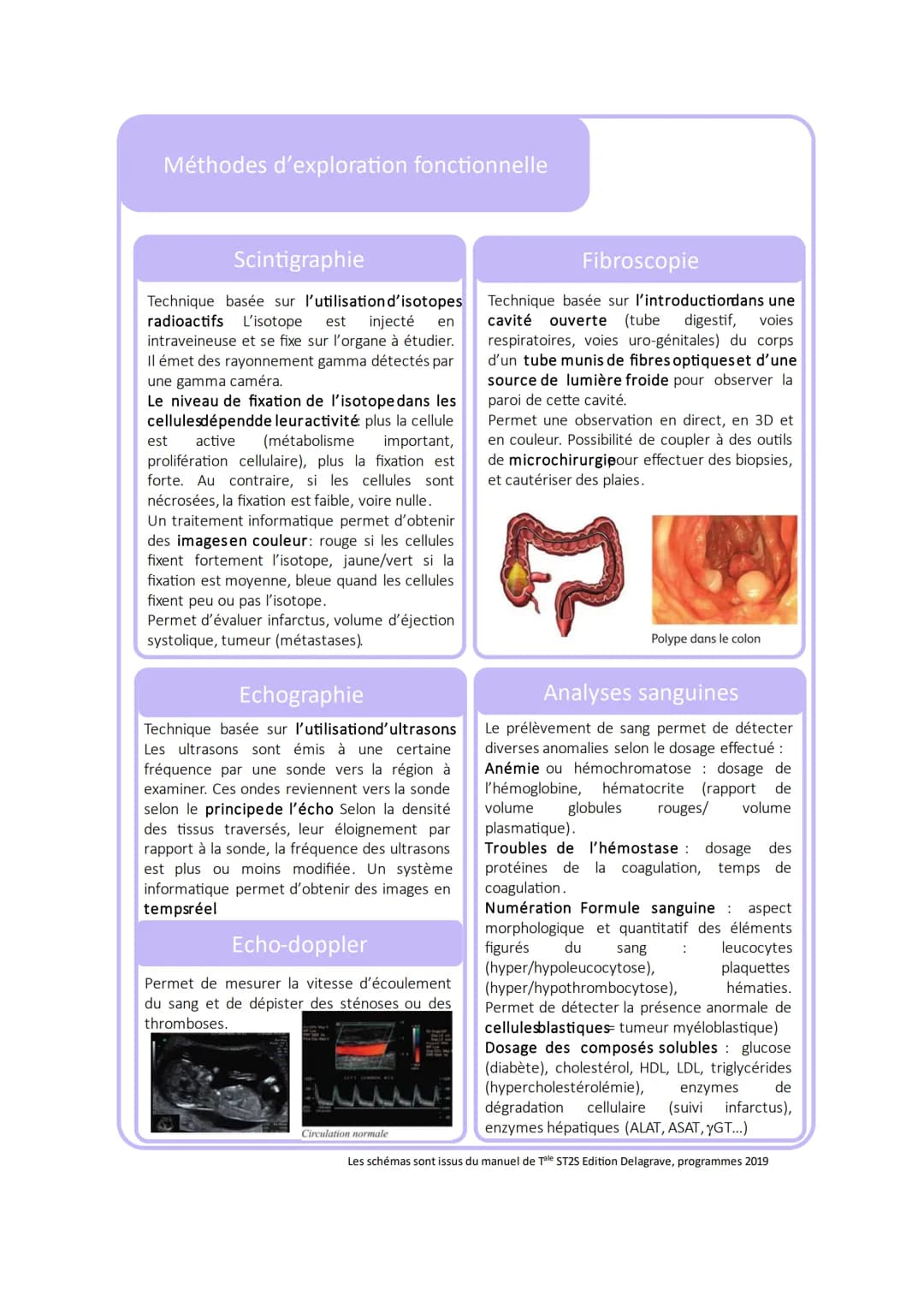 Méthodes d'exploration fonctionnelle
Radiographie
Technique basée sur l'absorptiondifférentielle
des rayonsX selon la densité des tissus Les