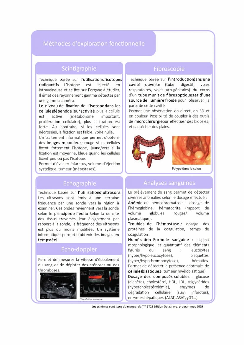 Méthodes d'exploration fonctionnelle
Radiographie
Technique basée sur l'absorptiondifférentielle
des rayonsX selon la densité des tissus Les