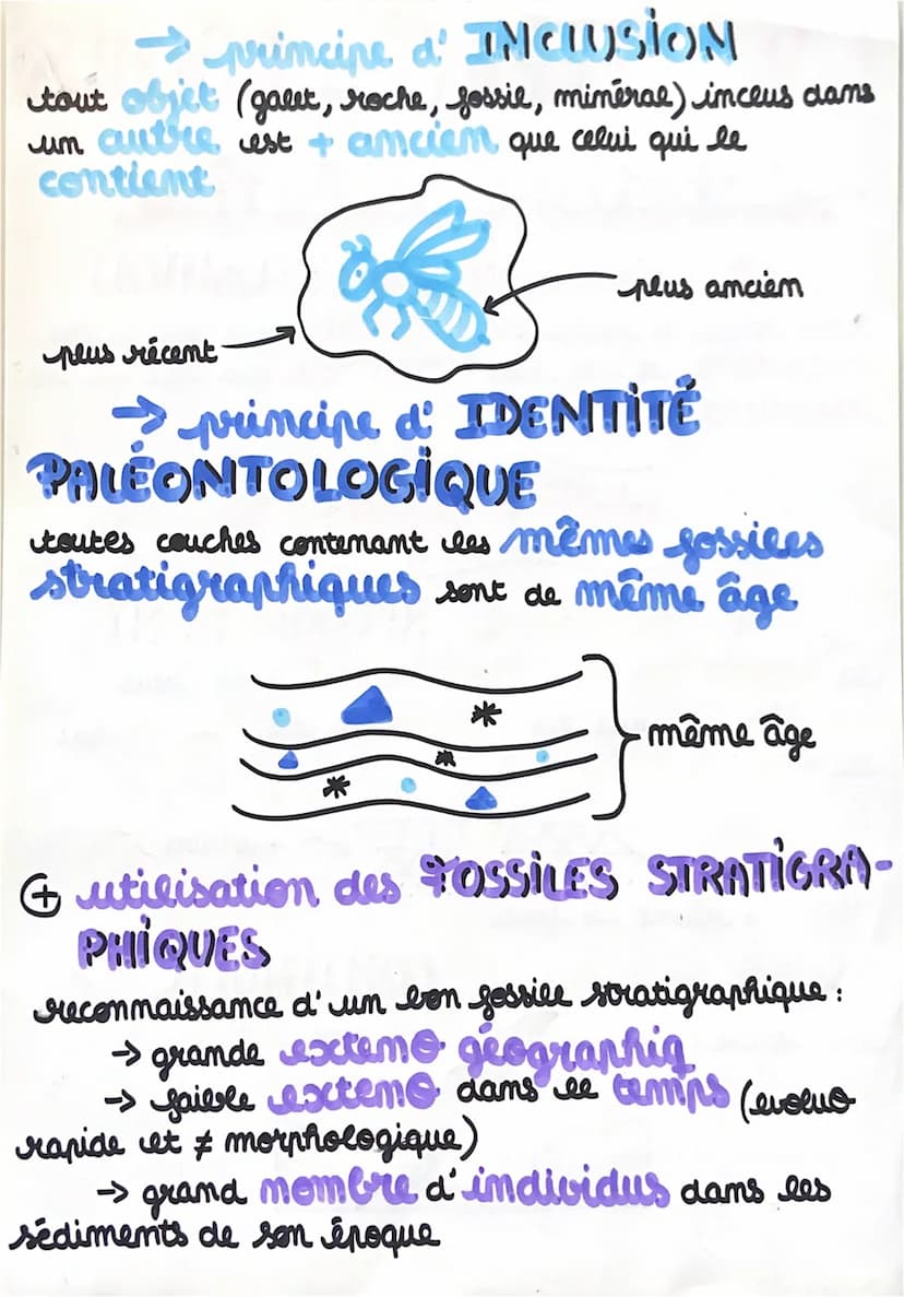 C.4. TEMPS ROCHES
le
datation relative
→principe
de SUPERPOSITION
time strate de roches est + siécente que celle qu'elle
recouvre et est peu