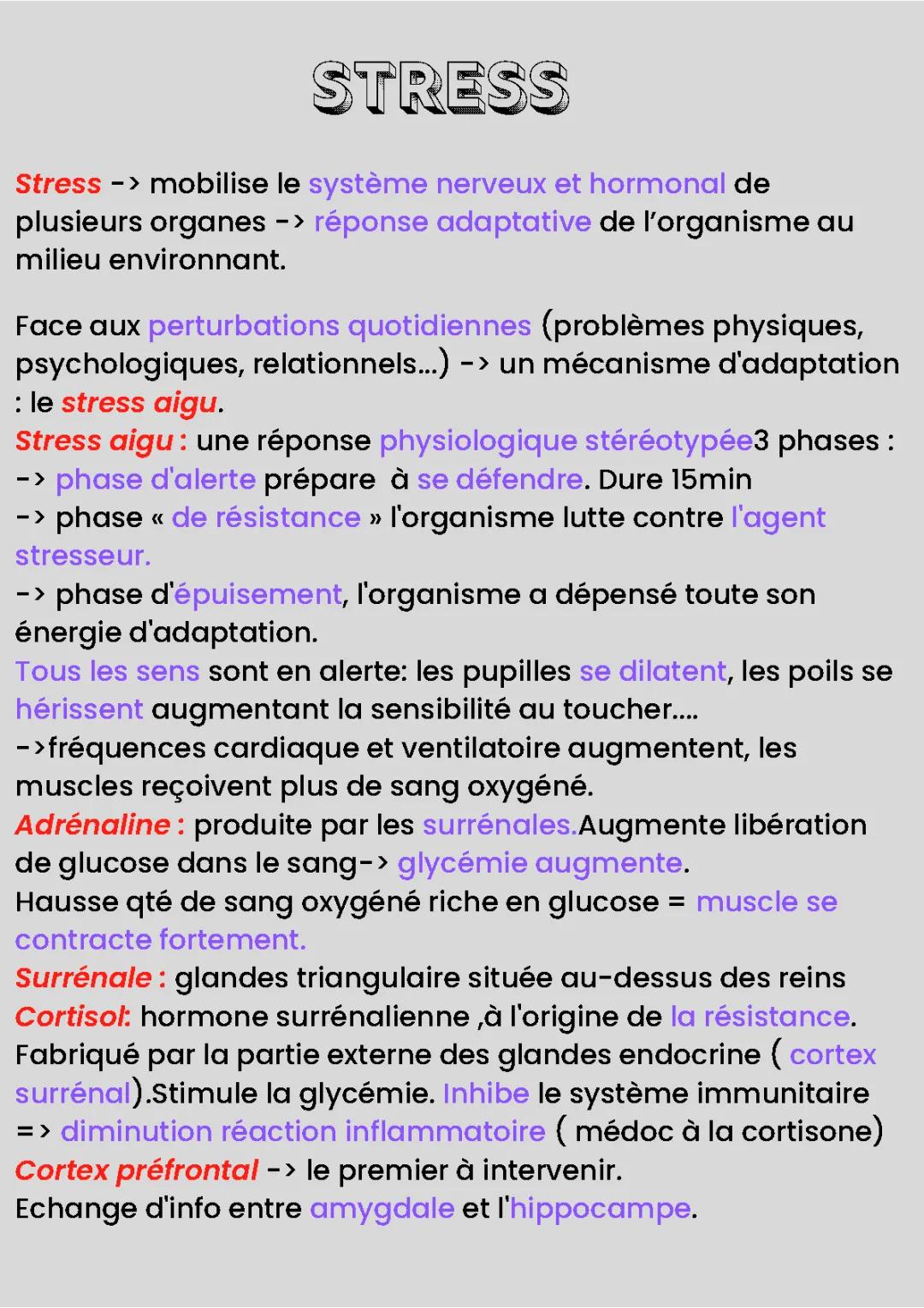 Les Secrets de l'Amygdale: Le Cerveau, le Stress et Comment le Calmer