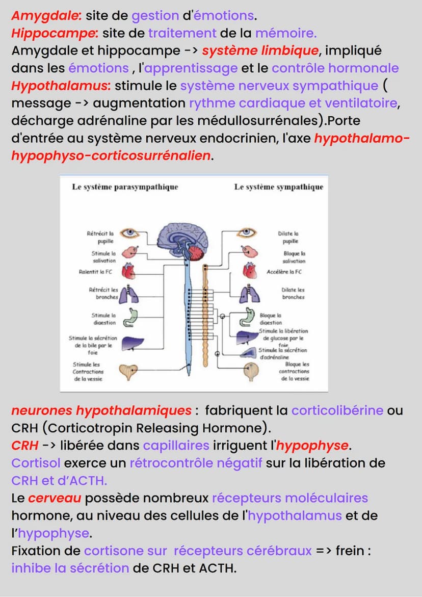 STRESS
Stress -> mobilise le système nerveux et hormonal de
plusieurs organes -> réponse adaptative de l'organisme au
milieu environnant.
Fa