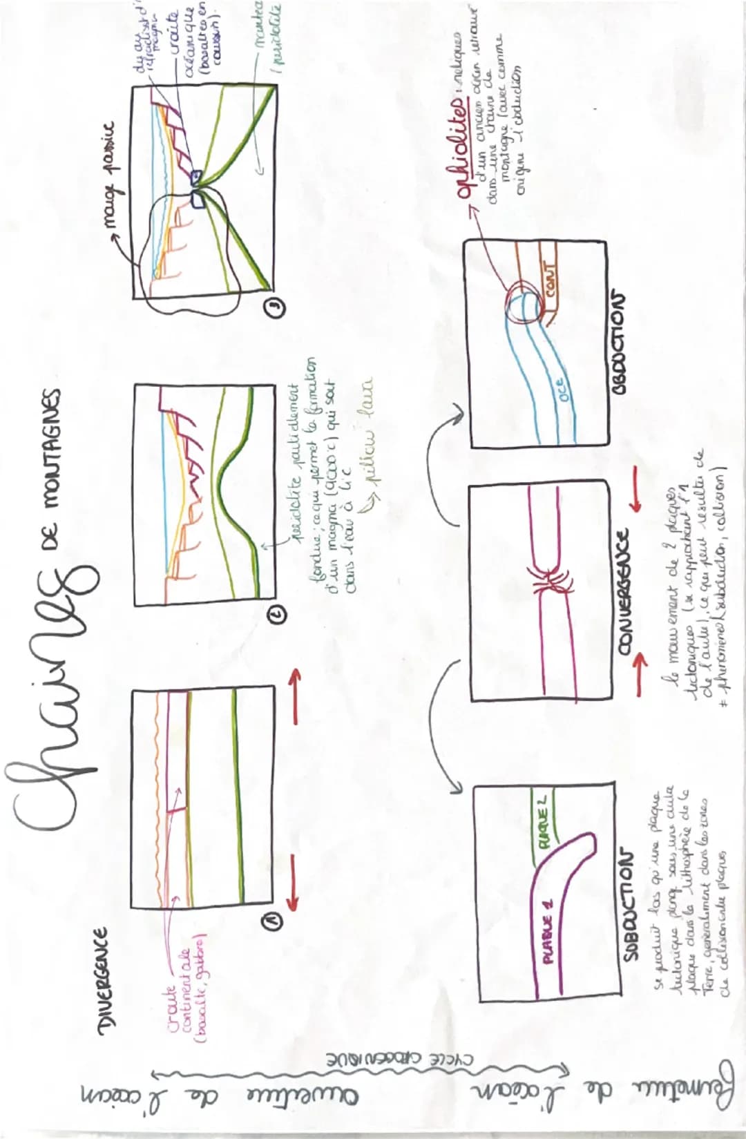 muscle
ба
da cellule musculaire
myofibrille
myofibrille
faisceaus de
fibres musculares
fibre musculau
= cellule musculare
sarcomere
la contr