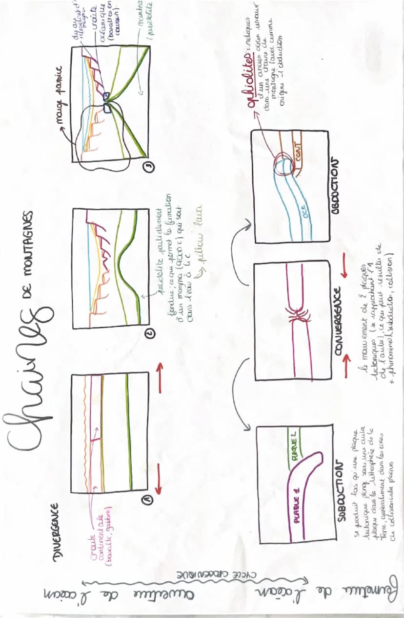 muscle
ба
da cellule musculaire
myofibrille
myofibrille
faisceaus de
fibres musculares
fibre musculau
= cellule musculare
sarcomere
la contr