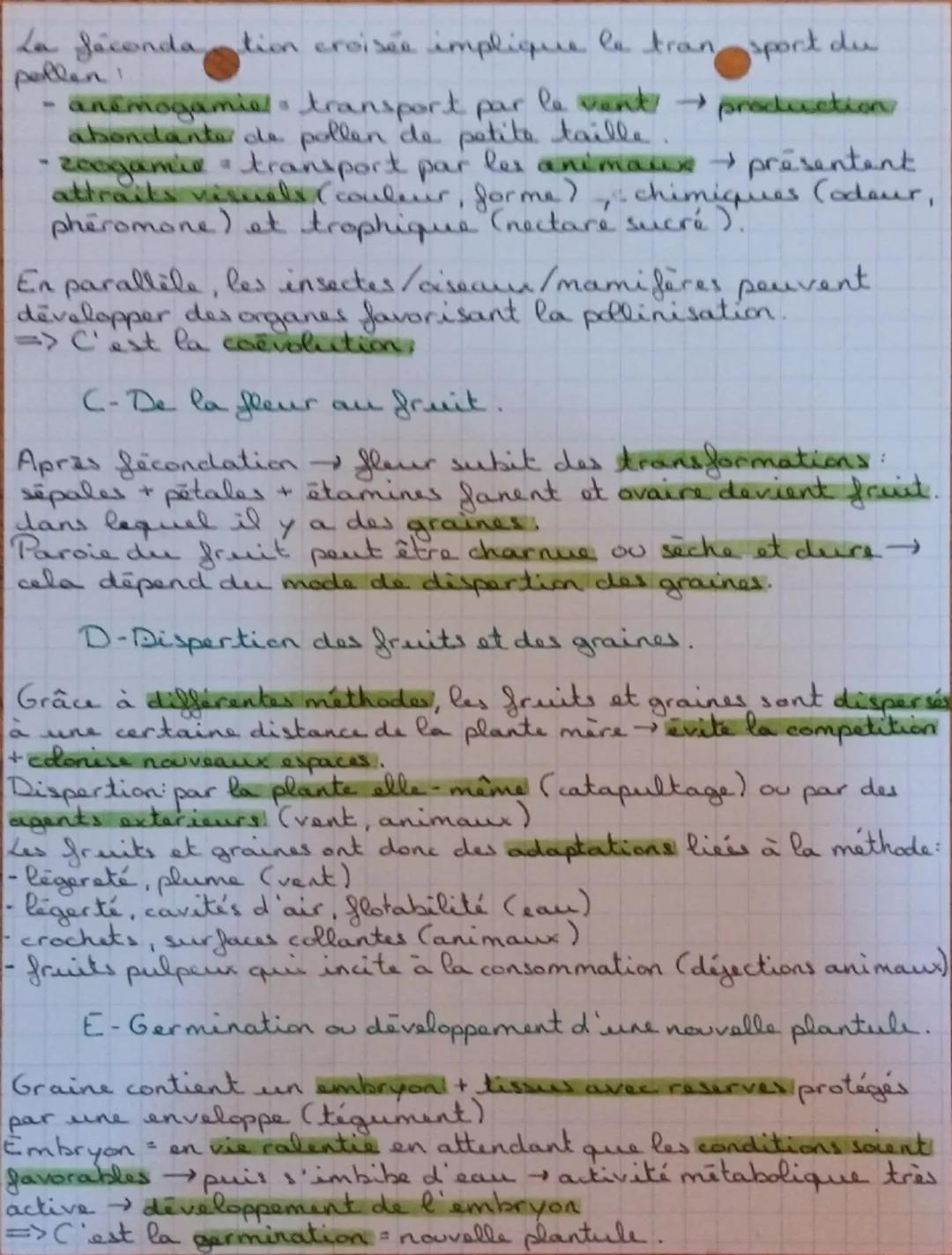 # SVT

REPRODUCTION DE LA PLANTE, ENTRE VIE FIXÉE
ET MOBIUTE

I/ Les fleurs permettent la reproduction sexuée.
A-Production de gametes et fé