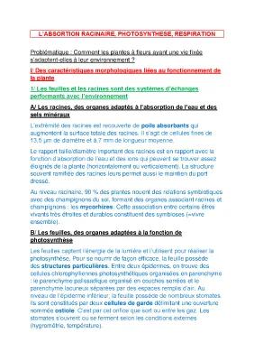 Know L'absorption racinaire, photosynthèse, respiration thumbnail