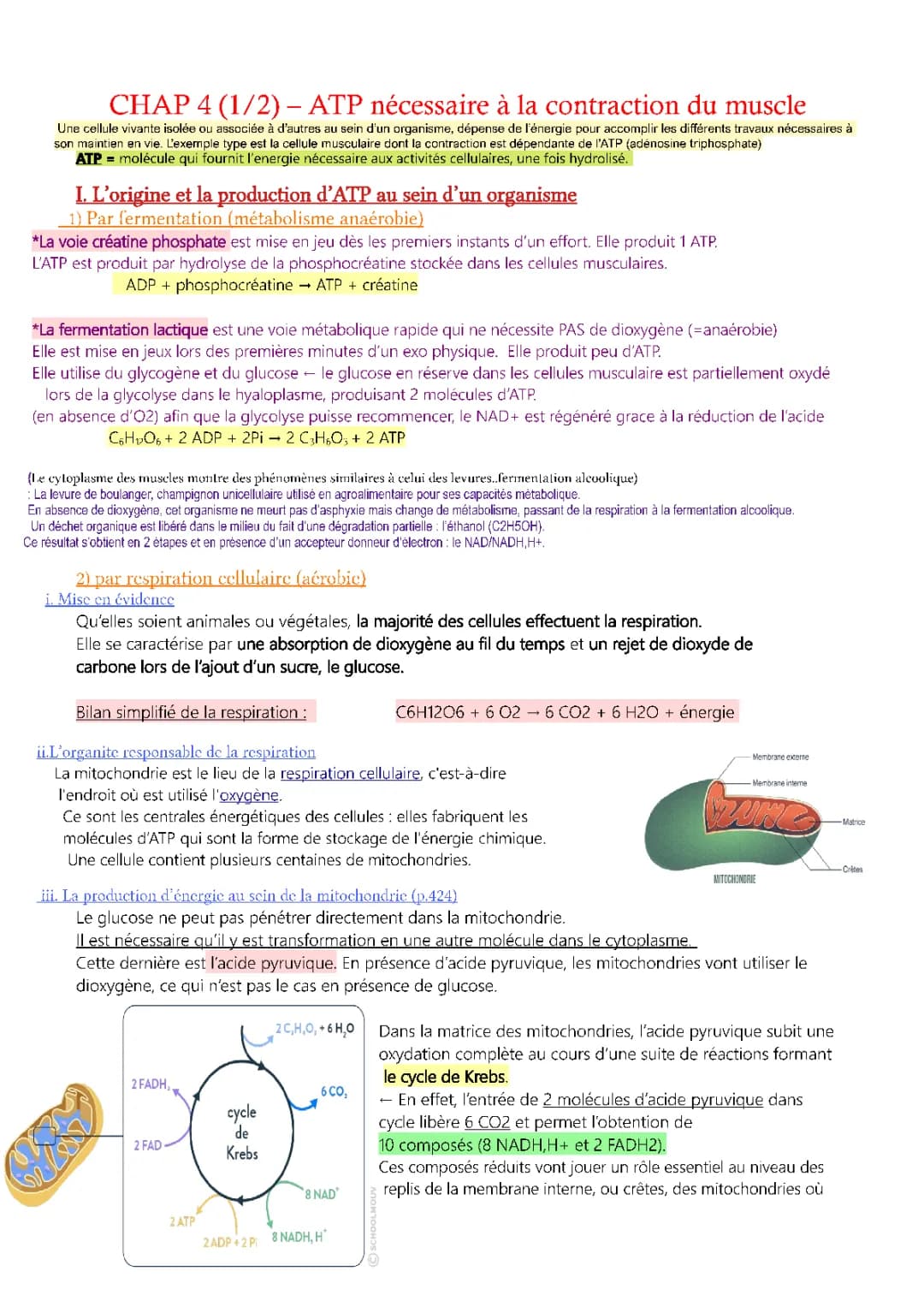 ATP