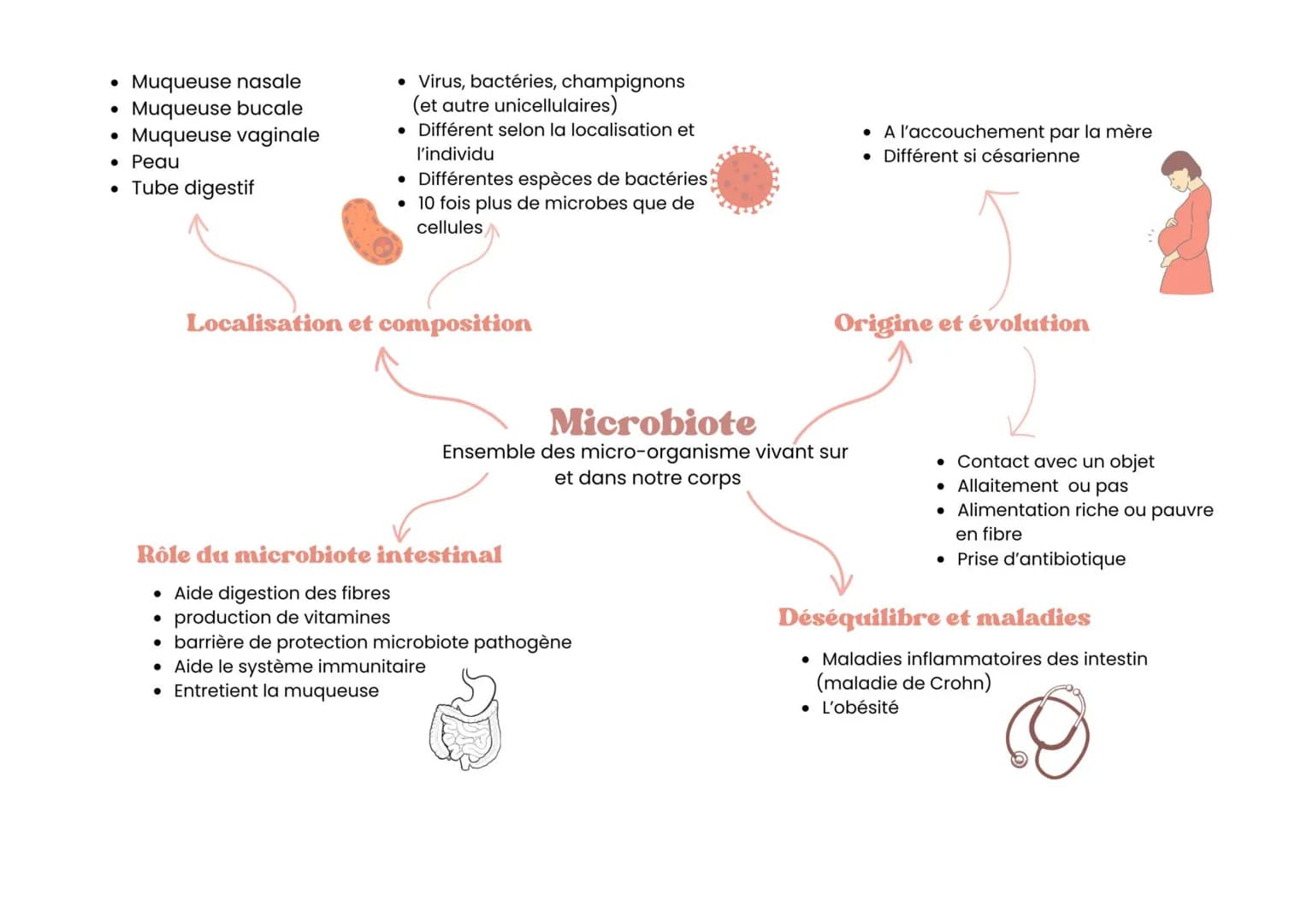 • Muqueuse nasale
• Muqueuse bucale
• Muqueuse vaginale
• Peau
• Tube digestif
• Virus, bactéries, champignons
(et autre unicellulaires)
• D
